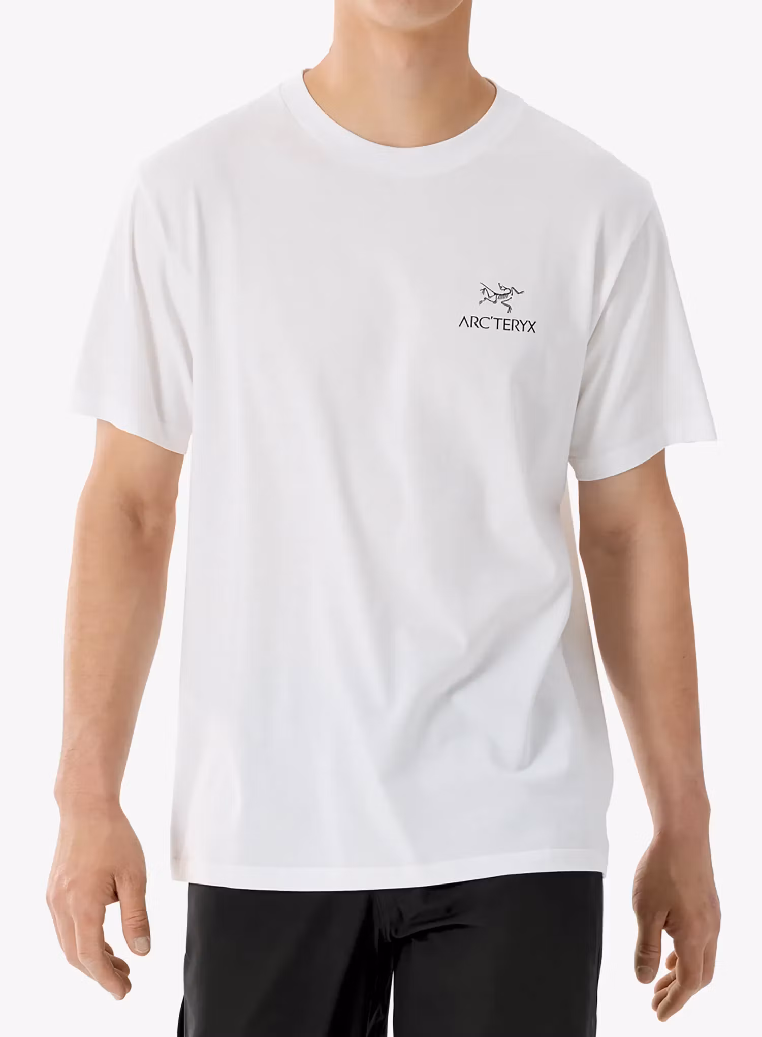 qweArcteryxKraggSLCottonBirdWordSSwhitelightblack623555587835a.webp