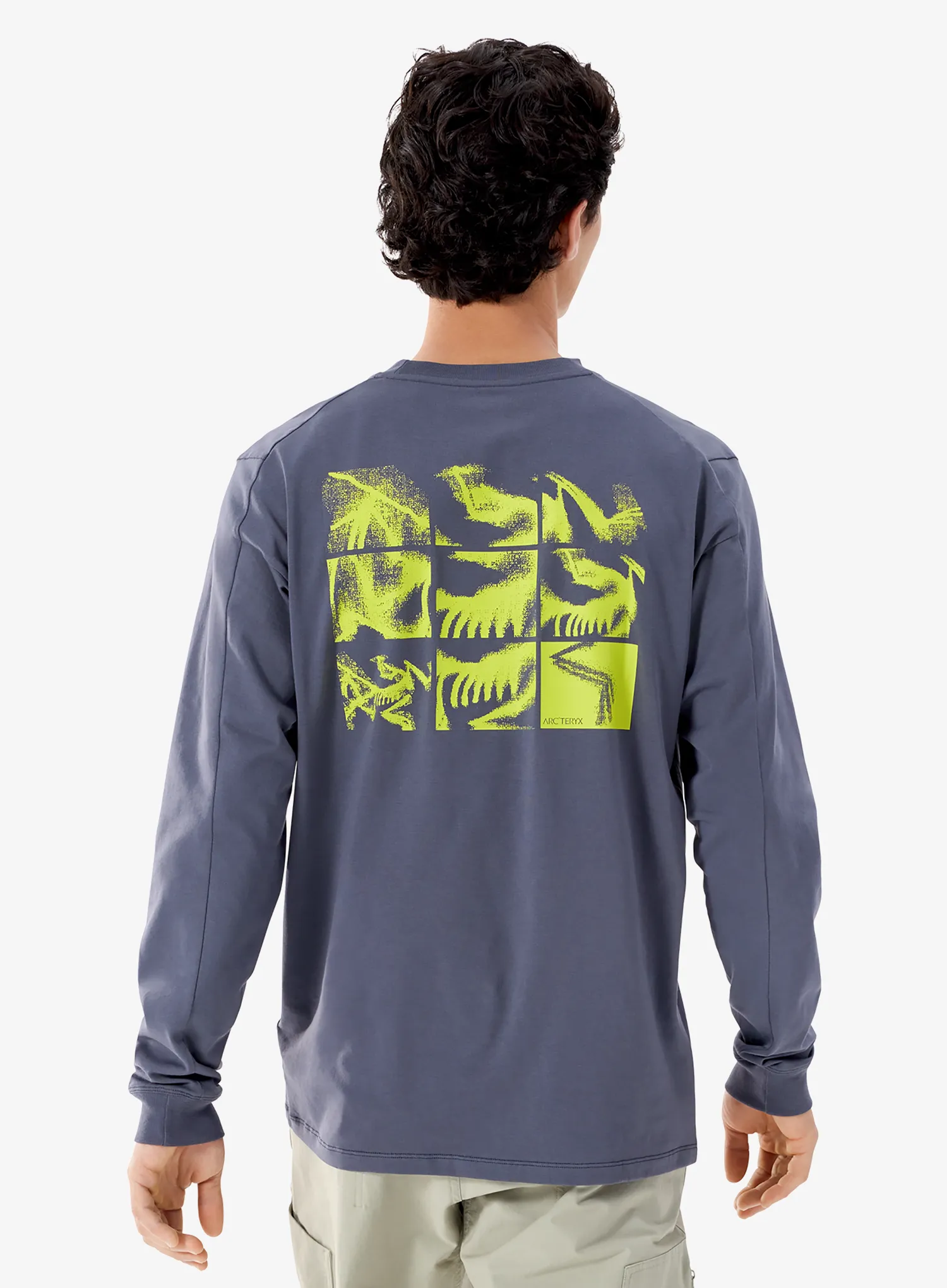 Кофта без каптура Arcteryx Kragg SL Cotton Bird Tile LS - dk stratus/euphoria
