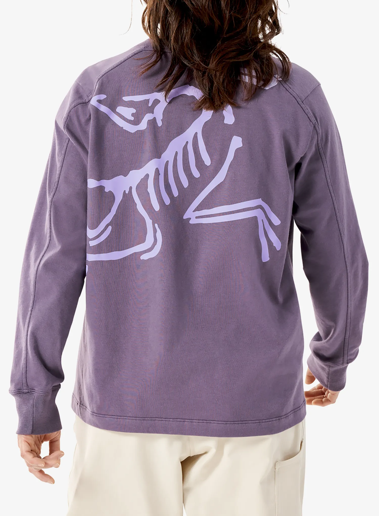 Кофта жіноча Arcteryx Kragg Cotton Bird Crew LS - lt moondrop
