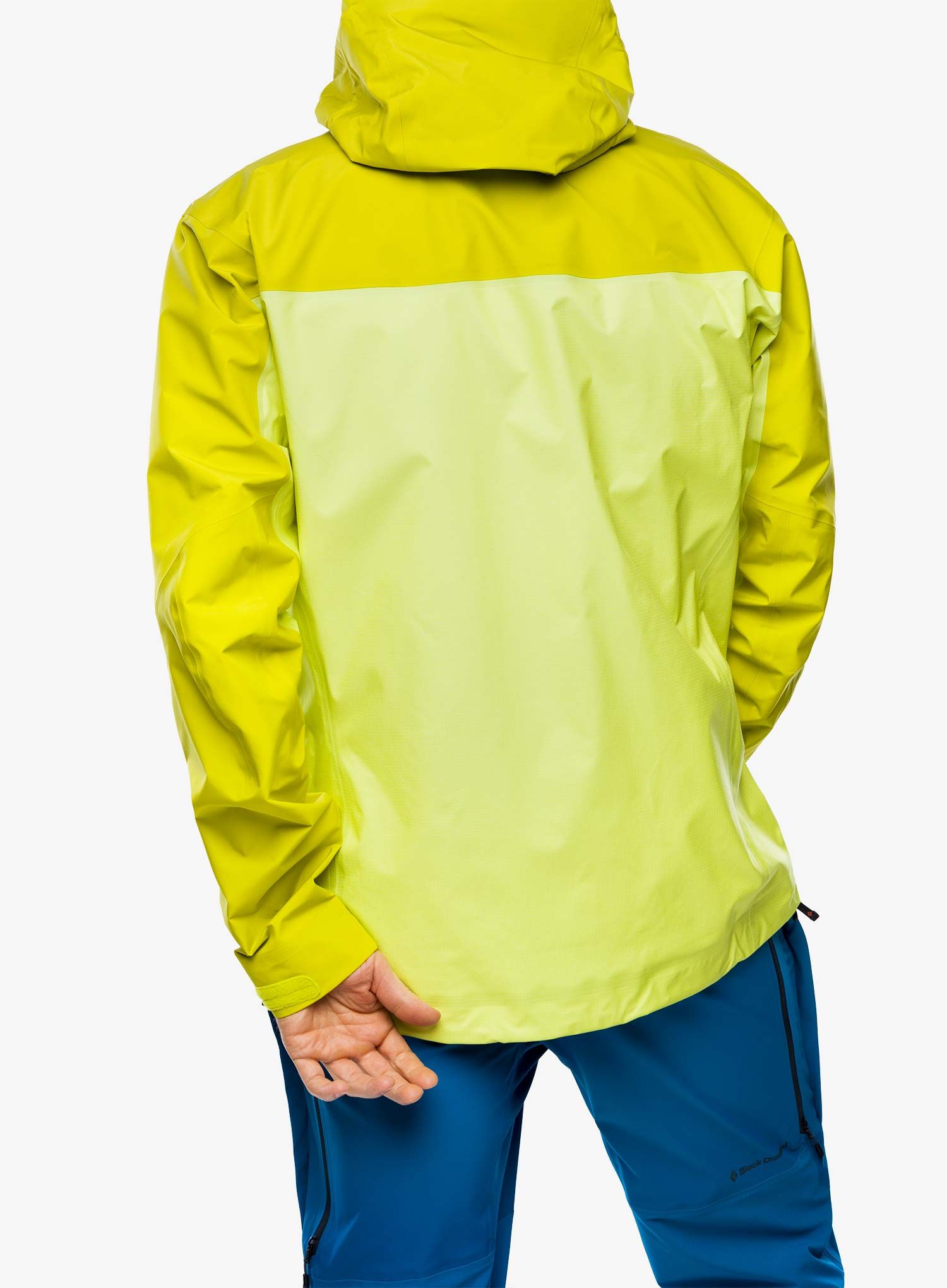 Куртка GORE-TEX Arcteryx Alpha Jacket - euphoria/lampyre