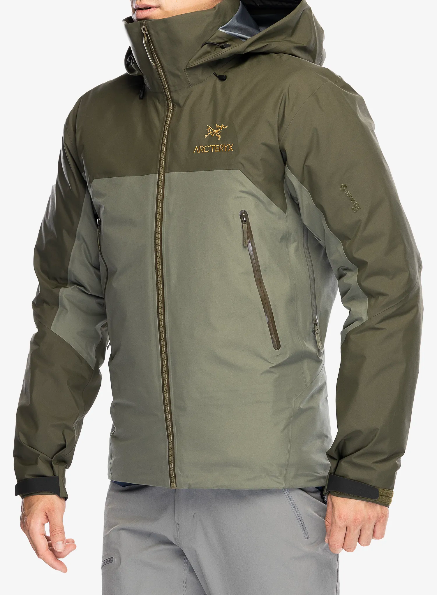 Куртка GORE-TEX Arcteryx Beta AR Jacket - forage/tatsu