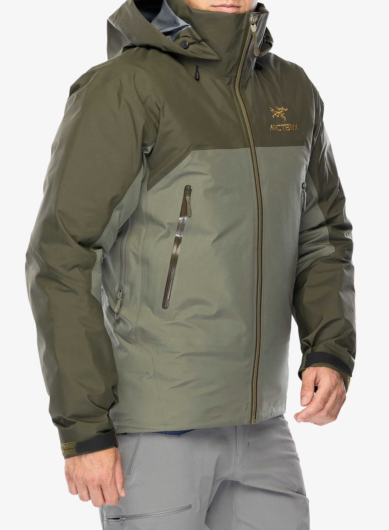 Куртка GORE-TEX Arcteryx Beta AR Jacket - forage/tatsu