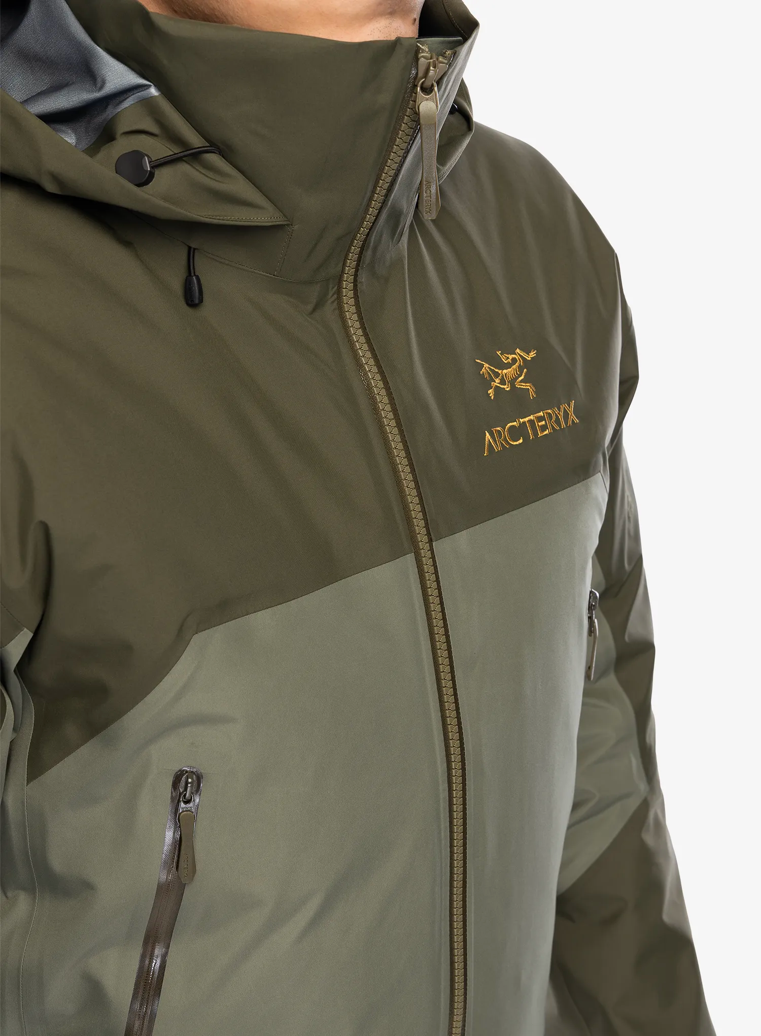 Куртка GORE-TEX Arcteryx Beta AR Jacket - forage/tatsu