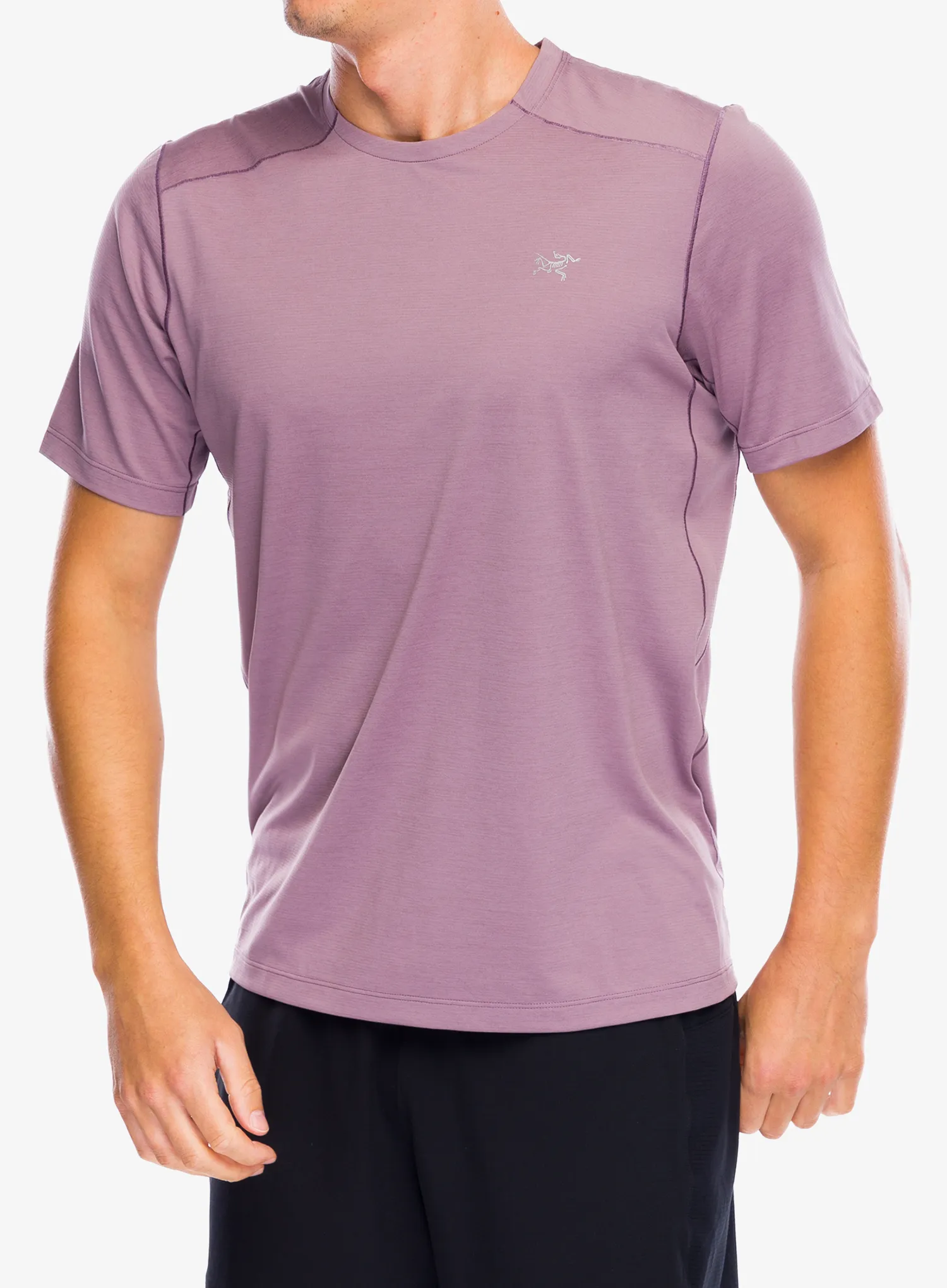 Футболка для бігу Arcteryx Cormac Crew SS - interstellar heather