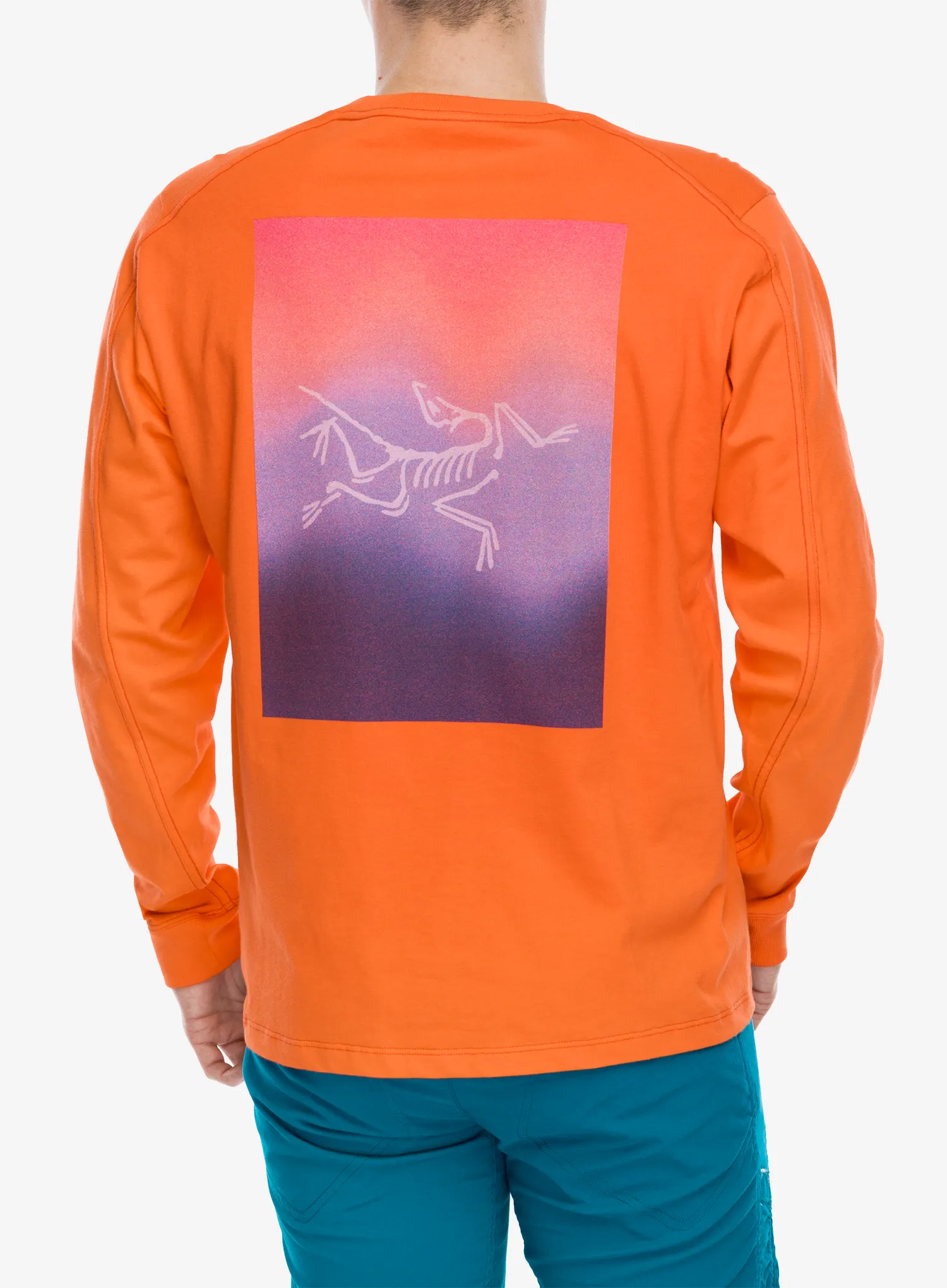 Кофта Arcteryx Kragg Cotton Heatmap LS - solaris/multi