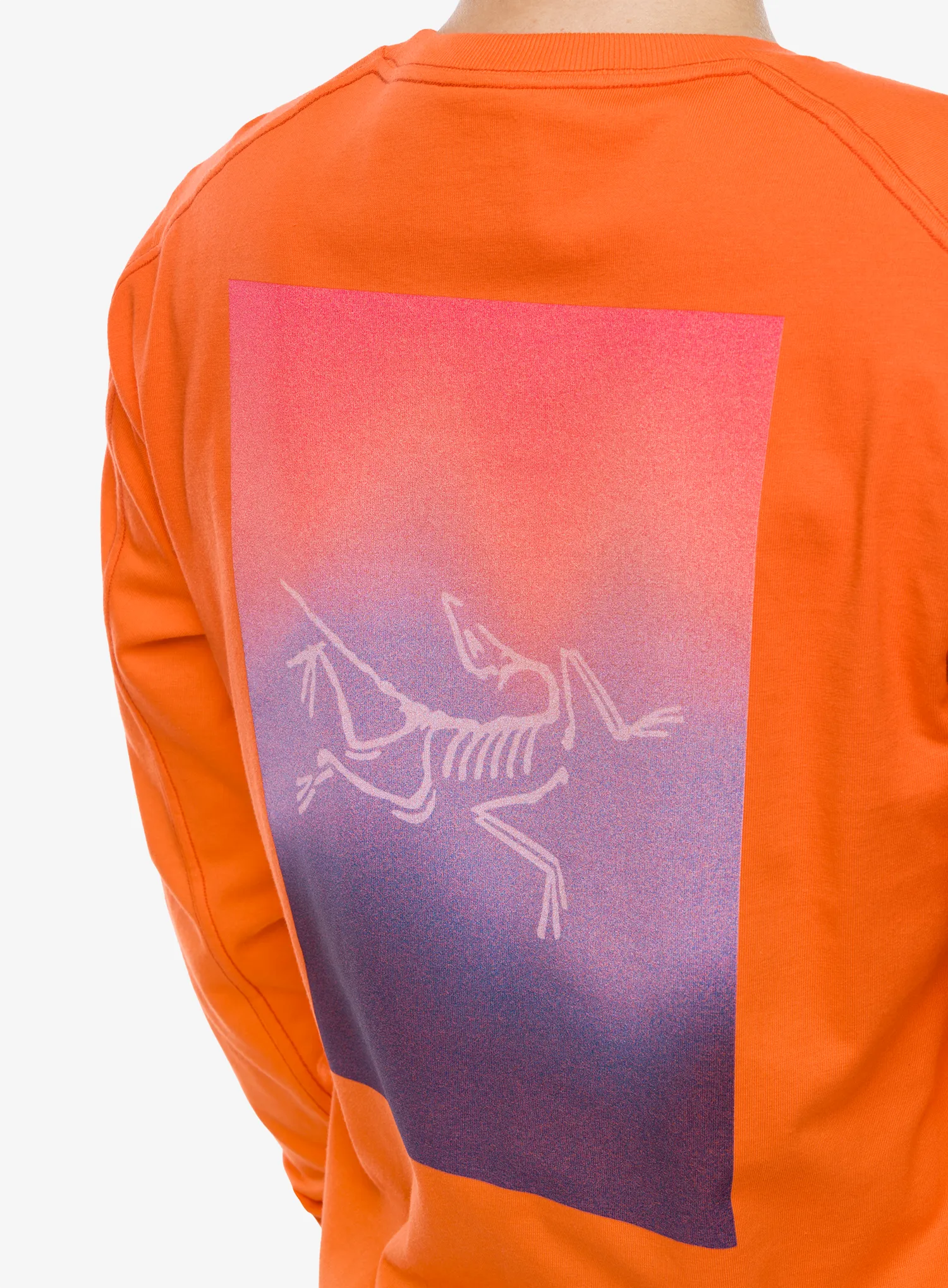 Кофта Arcteryx Kragg Cotton Heatmap LS - solaris/multi