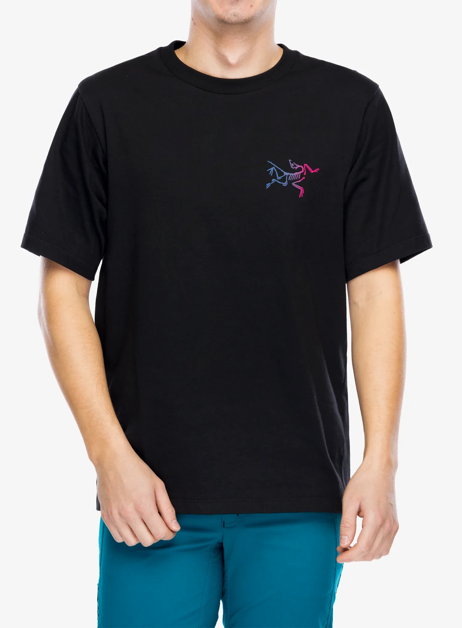 Футболка бавовняна Arcteryx Kragg Cotton Logo SS - black/multi