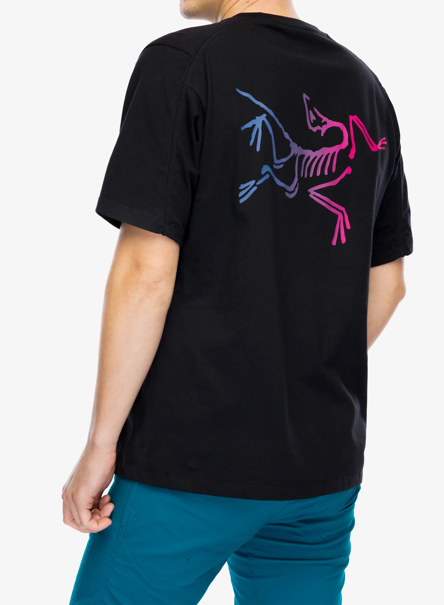 Футболка бавовняна Arcteryx Kragg Cotton Logo SS - black/multi