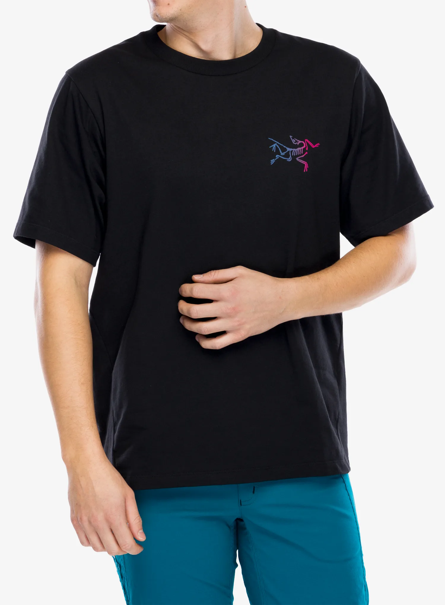 Футболка бавовняна Arcteryx Kragg Cotton Logo SS - black/multi