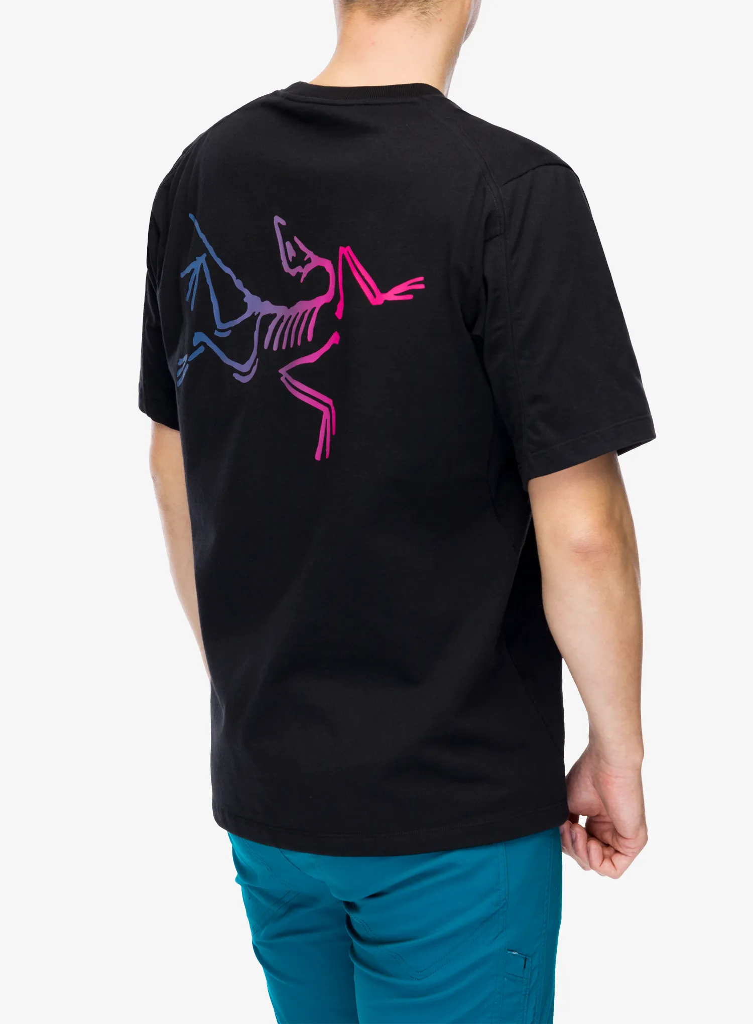 Футболка бавовняна Arcteryx Kragg Cotton Logo SS - black/multi