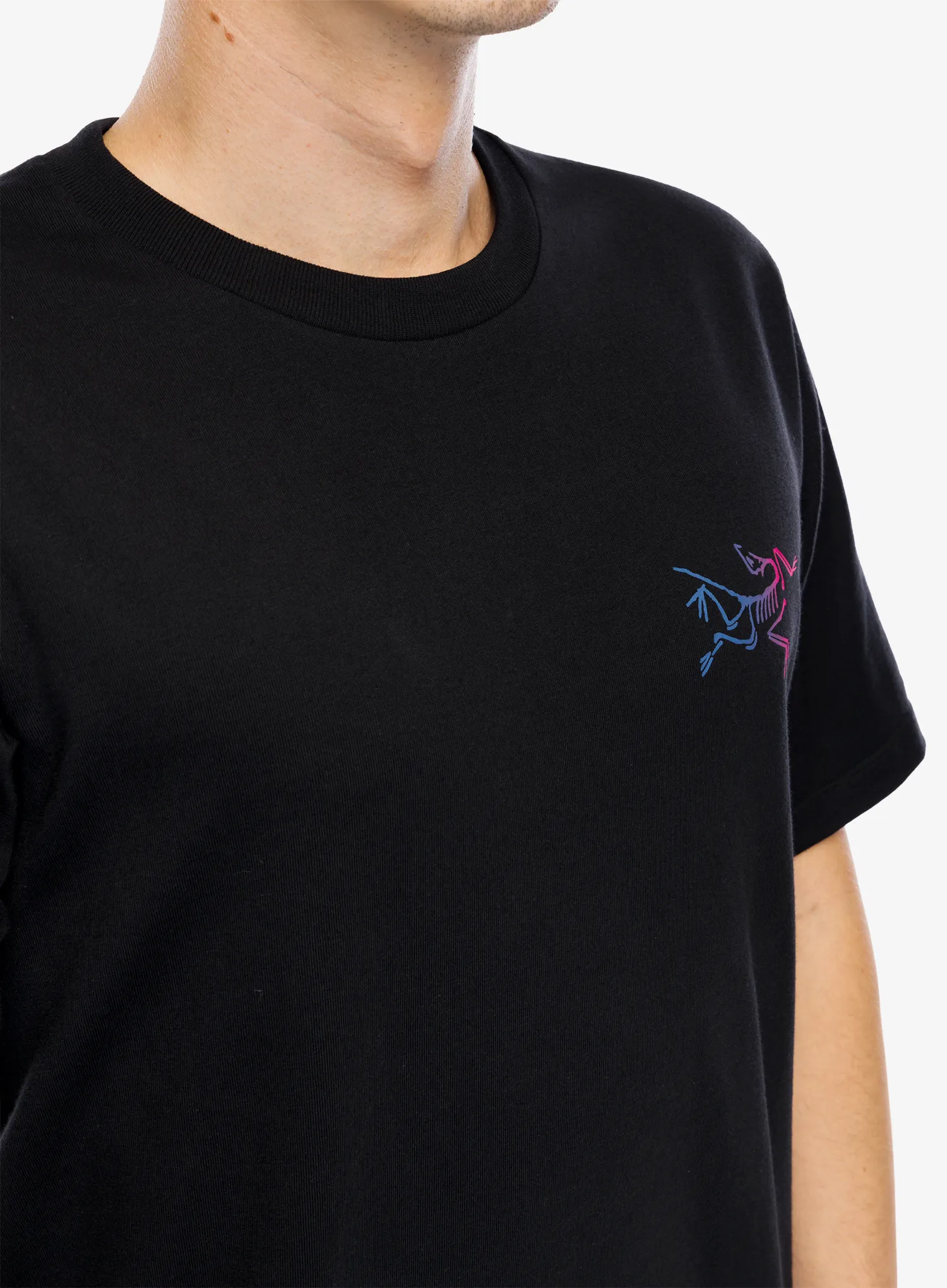 Футболка бавовняна Arcteryx Kragg Cotton Logo SS - black/multi