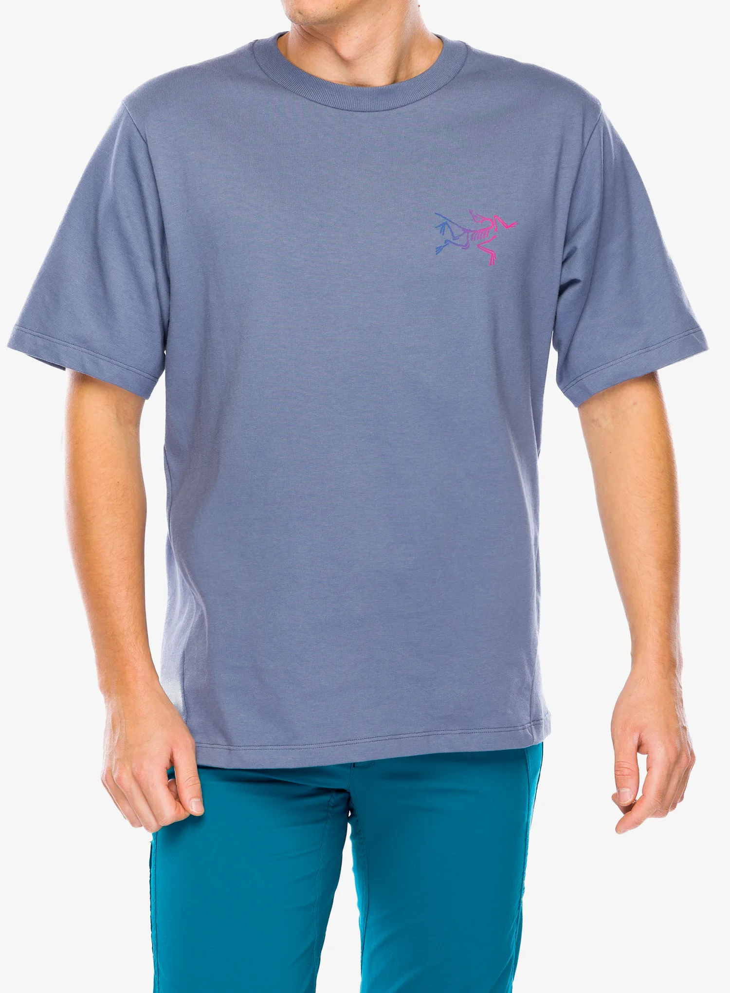Футболка бавовняна Arcteryx Kragg Cotton Logo SS - stratus/multi
