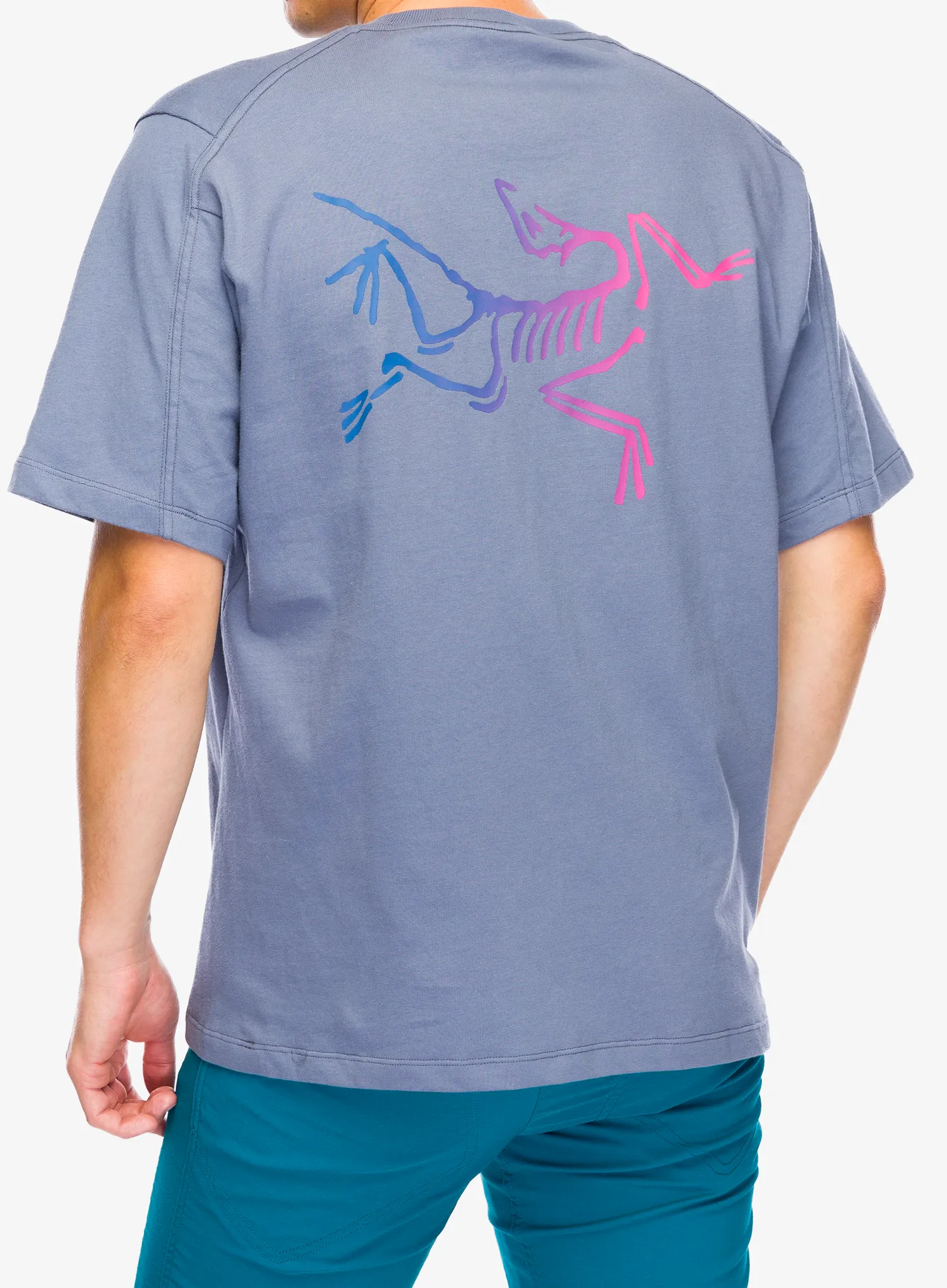 Футболка бавовняна Arcteryx Kragg Cotton Logo SS - stratus/multi