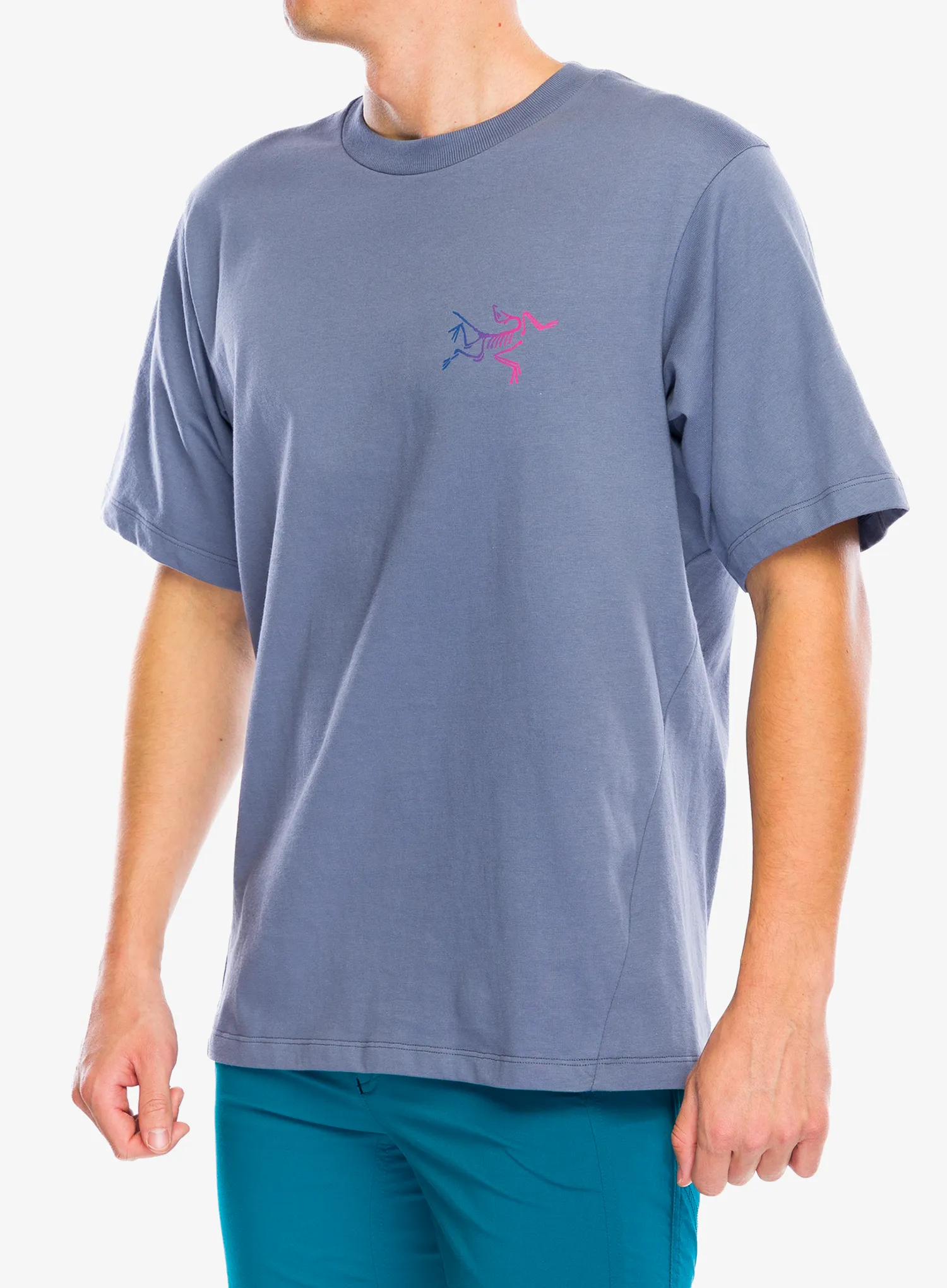 Футболка бавовняна Arcteryx Kragg Cotton Logo SS - stratus/multi