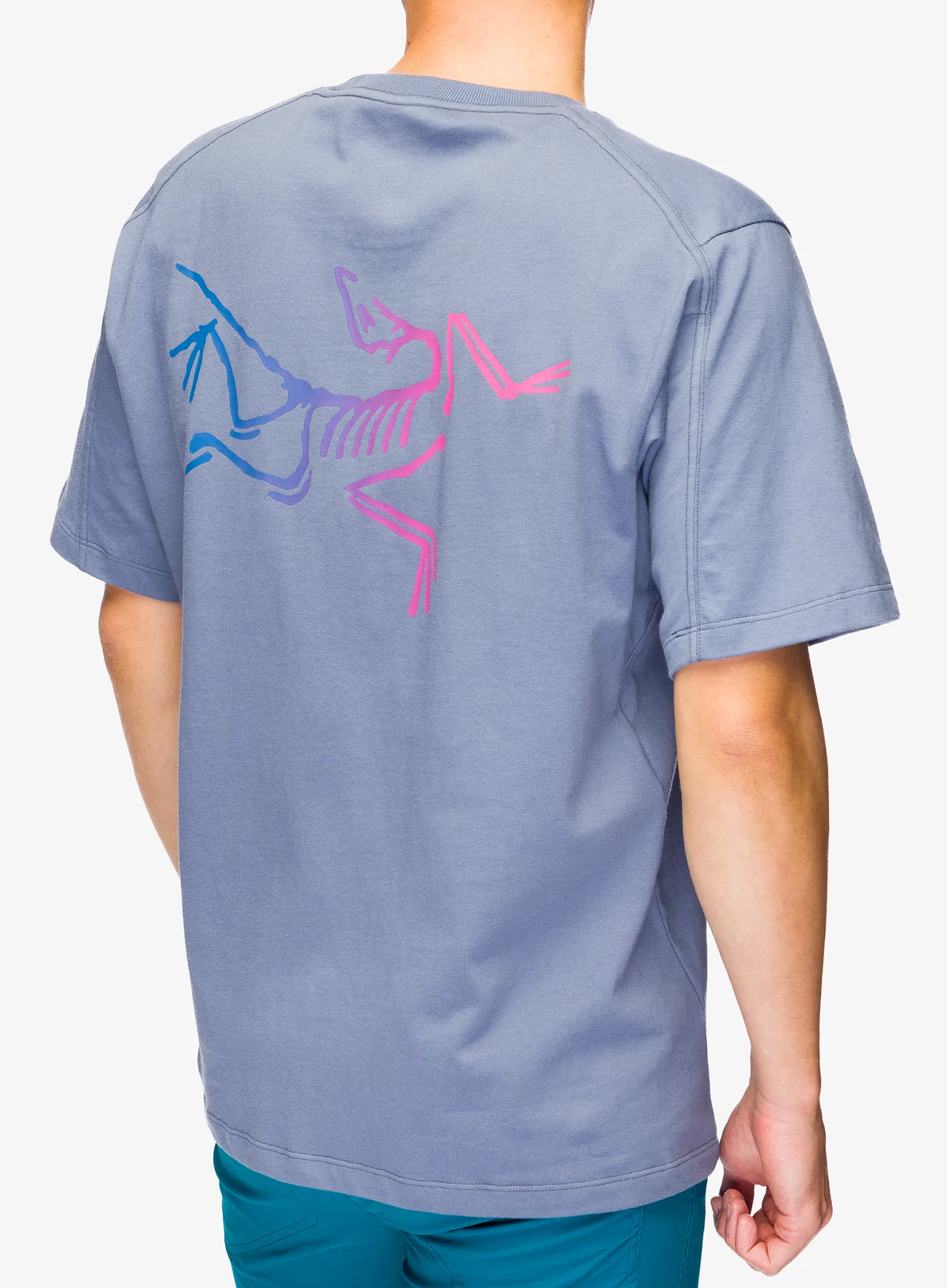 Футболка бавовняна Arcteryx Kragg Cotton Logo SS - stratus/multi