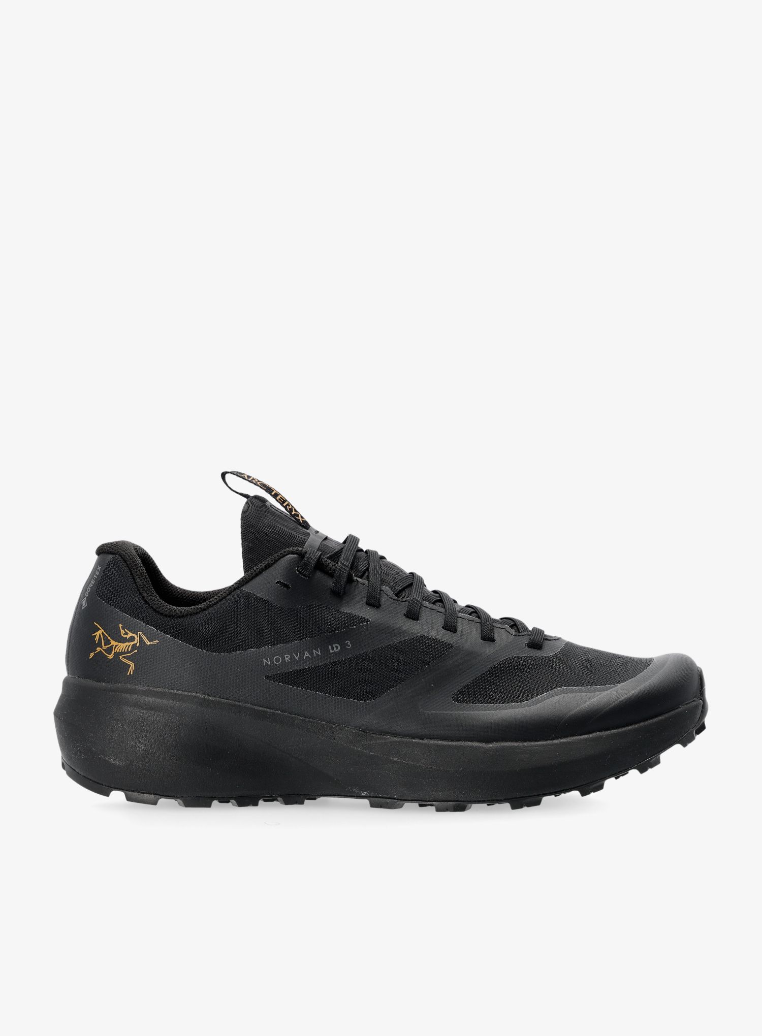 Черевики для трейлу жіночі Arcteryx Norvan LD 3 GTX - black/black