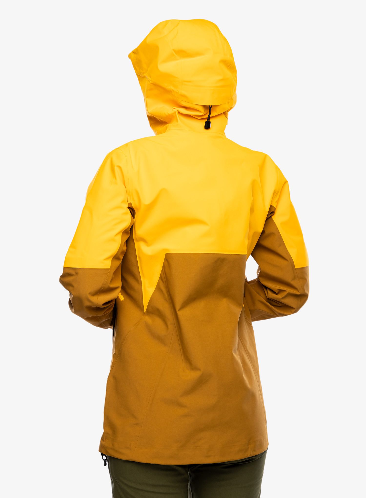 Куртка жіноча GORE-TEX Arcteryx Rush Jacket - edziza/yukon