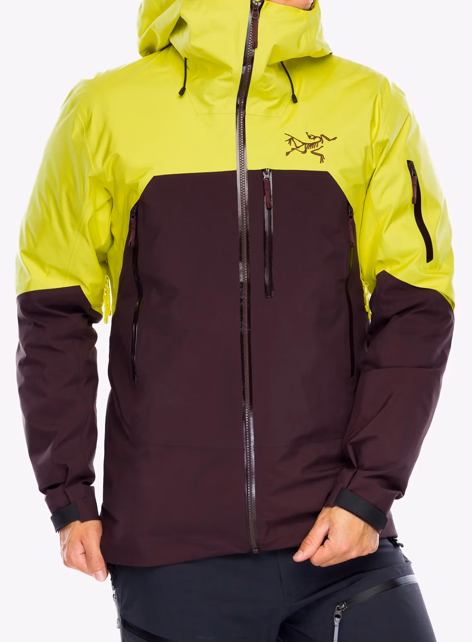 Куртка GORE-TEX Arcteryx Rush Jacket - euphoria/phantasm