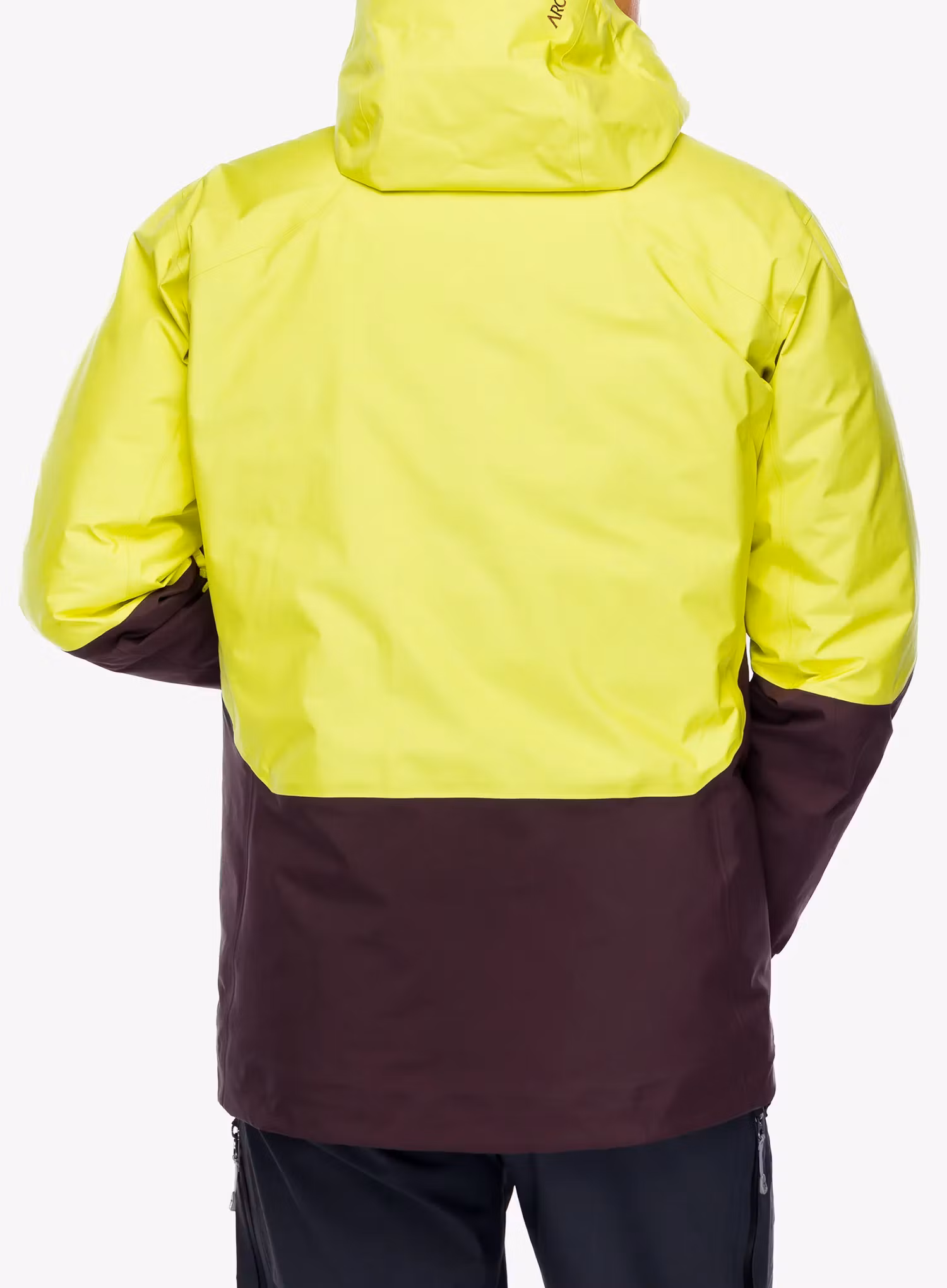 Куртка GORE-TEX Arcteryx Rush Jacket - euphoria/phantasm