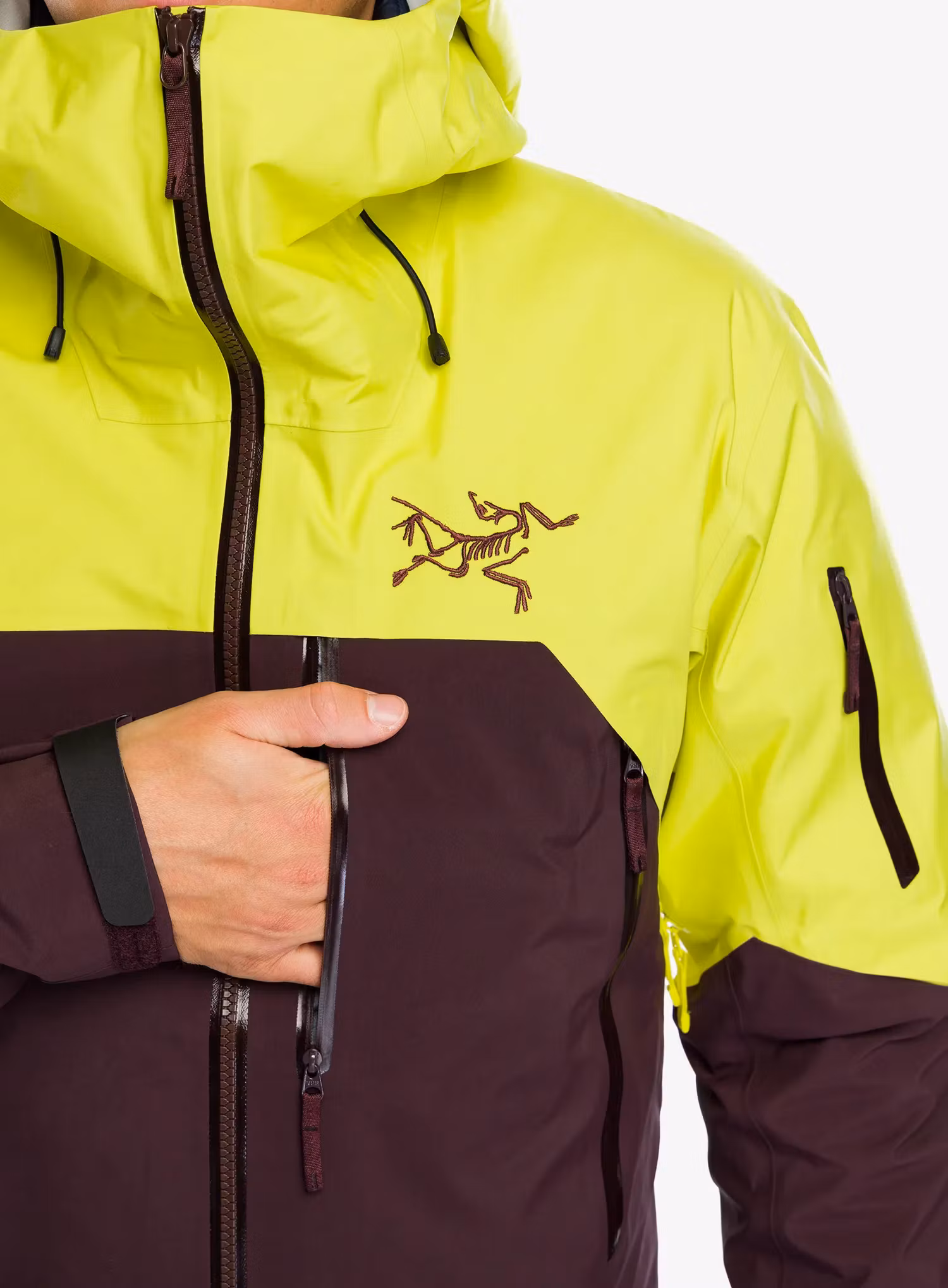 Куртка GORE-TEX Arcteryx Rush Jacket - euphoria/phantasm