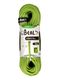 Мотузка динамічна Beal Virus 10 mm 80 m - solid green