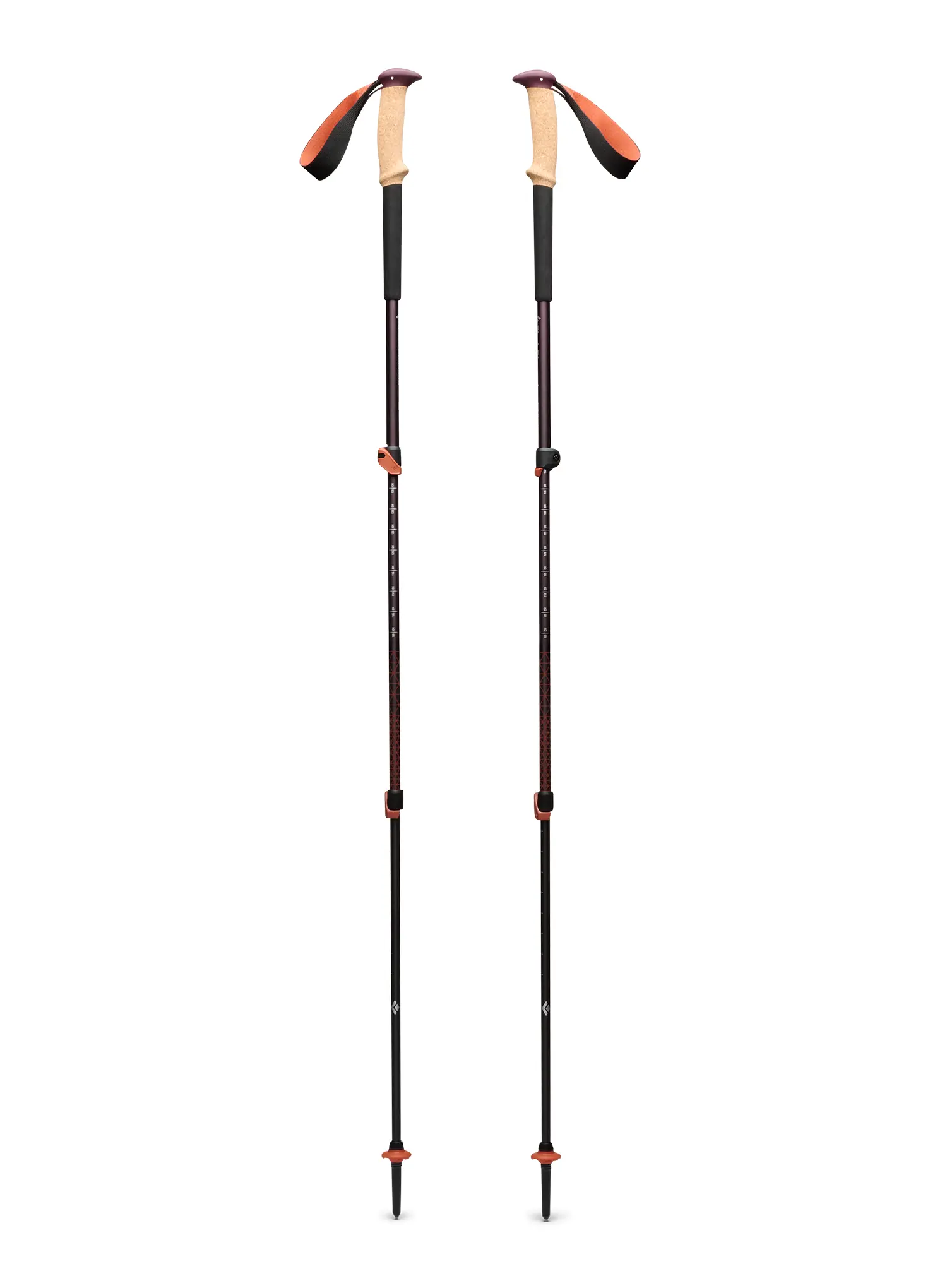 Трекінгові палиці Black Diamond Trail Cork Trekking Poles - fig