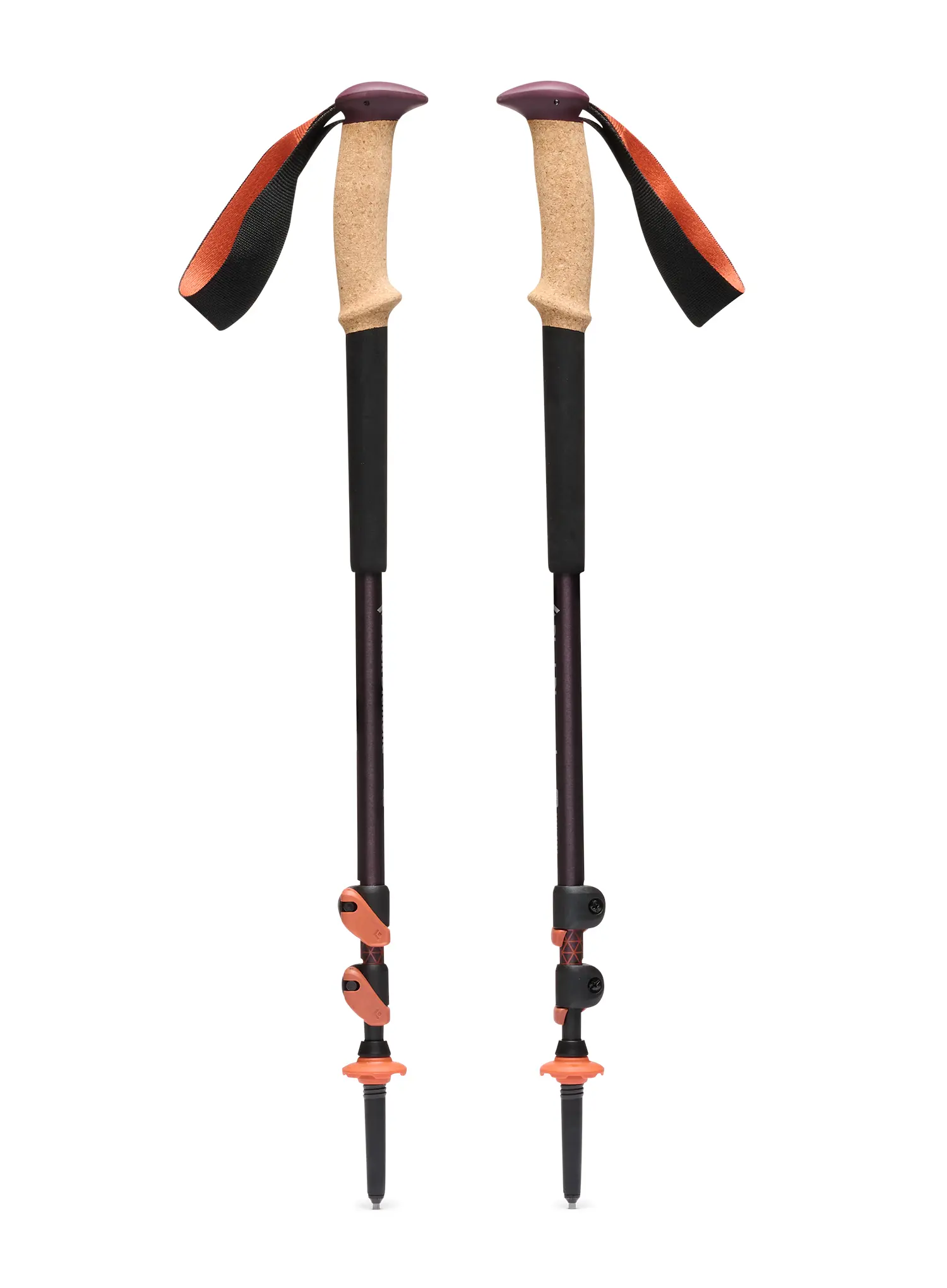 Трекінгові палиці Black Diamond Trail Cork Trekking Poles - fig
