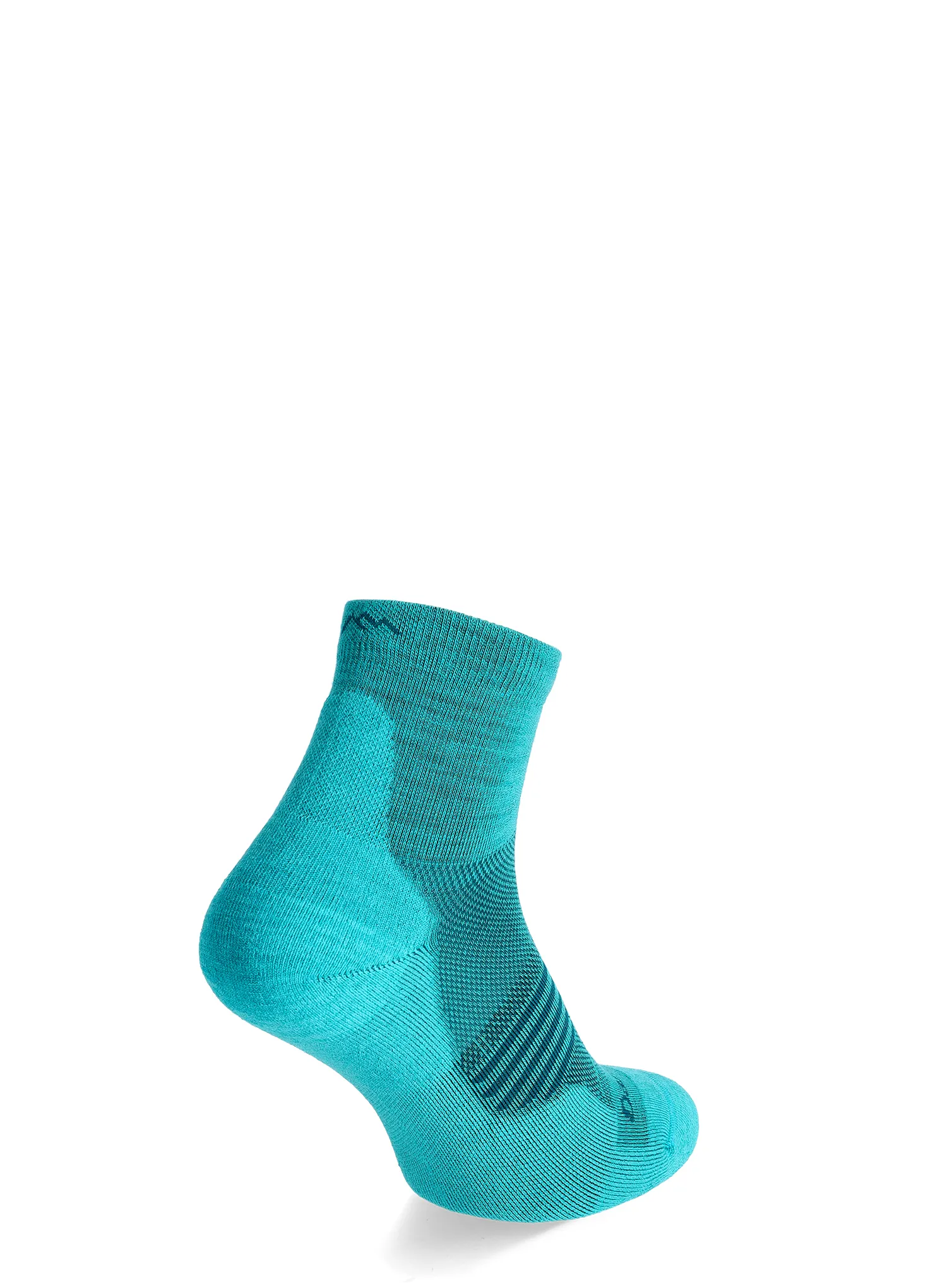 Носки жіночі Darn Tough Element 1/4 Lightweight with Cushion - cyan