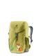 Дитячий туристичний рюкзак Deuter Waldfuchs 10 - linden/cactus