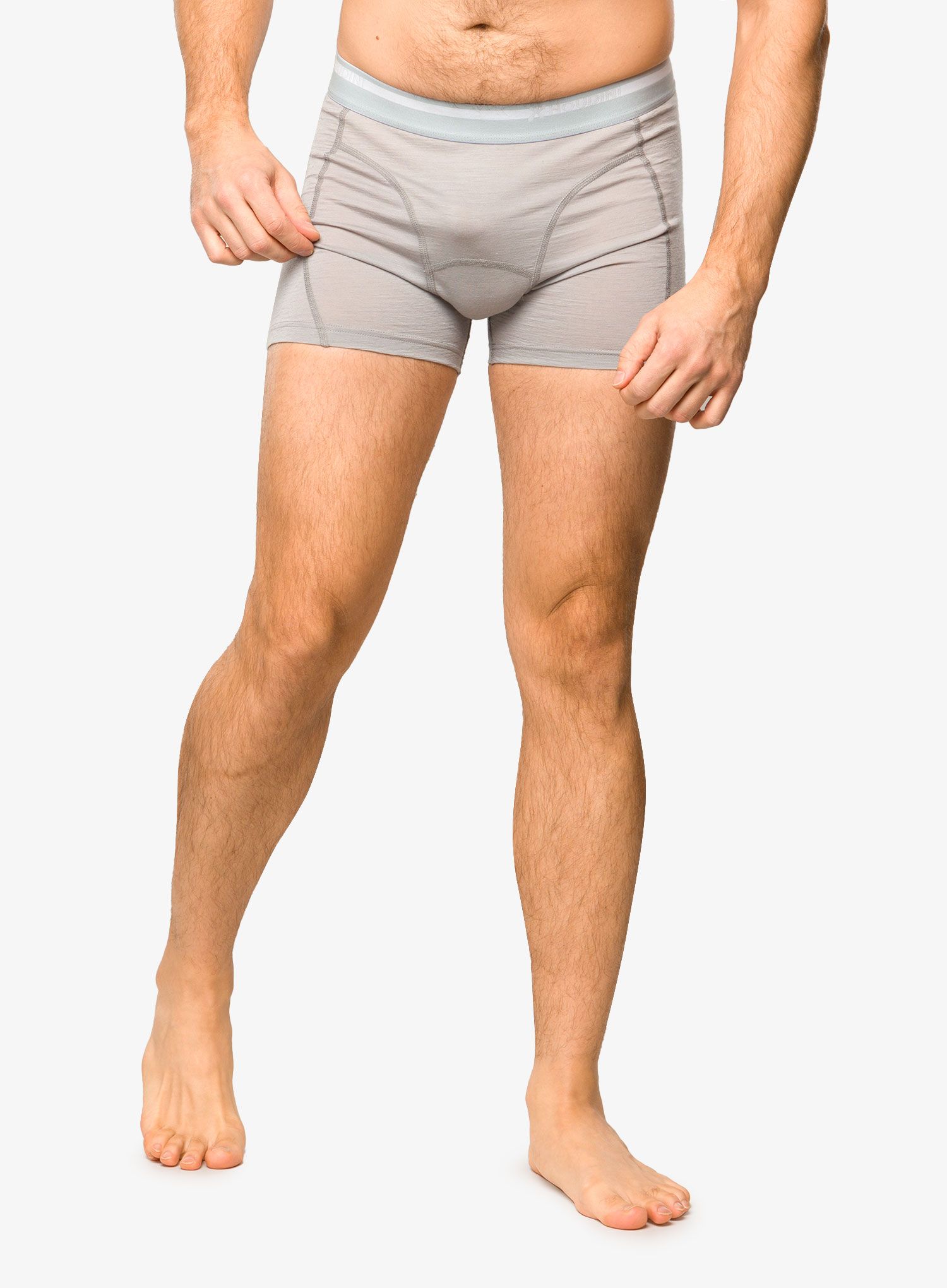 Боксери  Houdini Desoli Boxers - cloudy gray