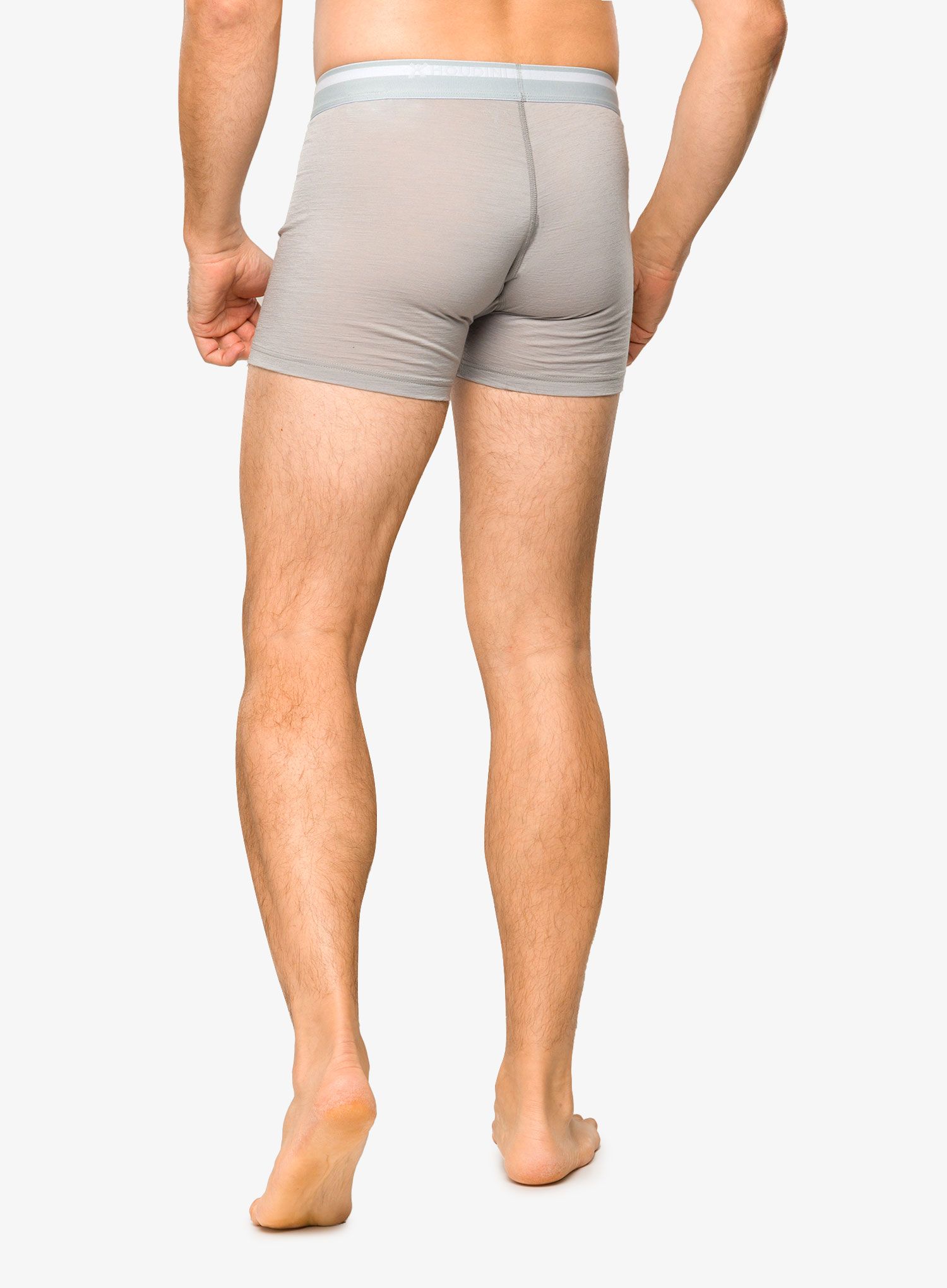 Боксери  Houdini Desoli Boxers - cloudy gray
