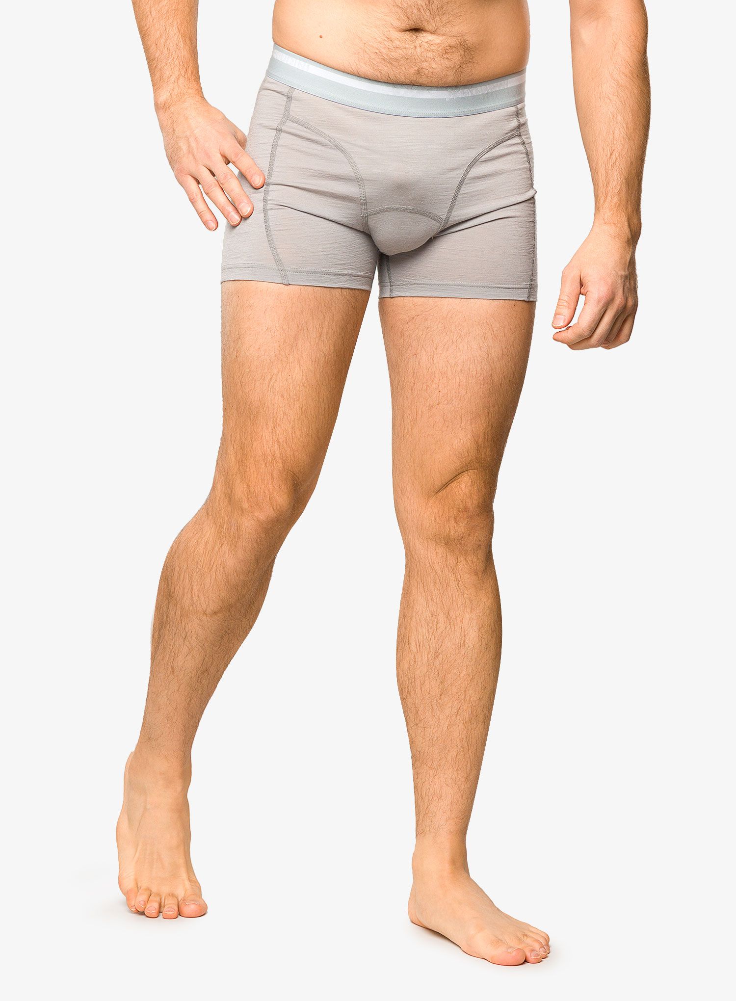 Боксери  Houdini Desoli Boxers - cloudy gray