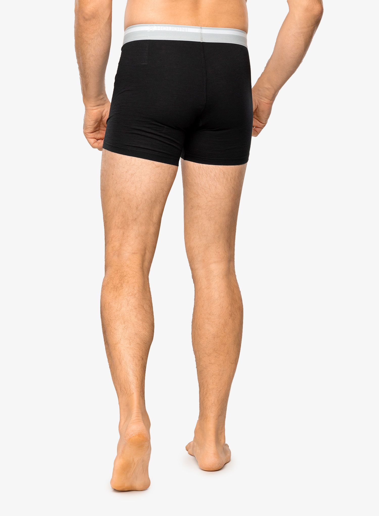 Боксери  Houdini Desoli Boxers - true black