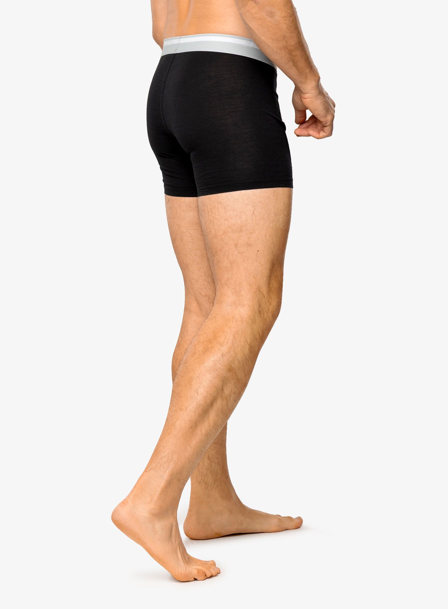 Боксери  Houdini Desoli Boxers - true black
