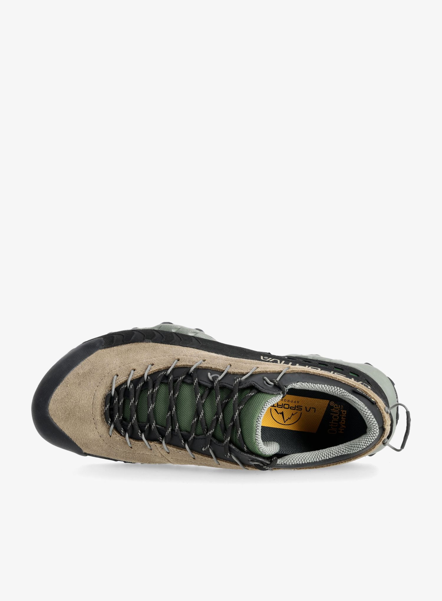 Черевики для походів La Sportiva TX4 GTX - turtle/forest