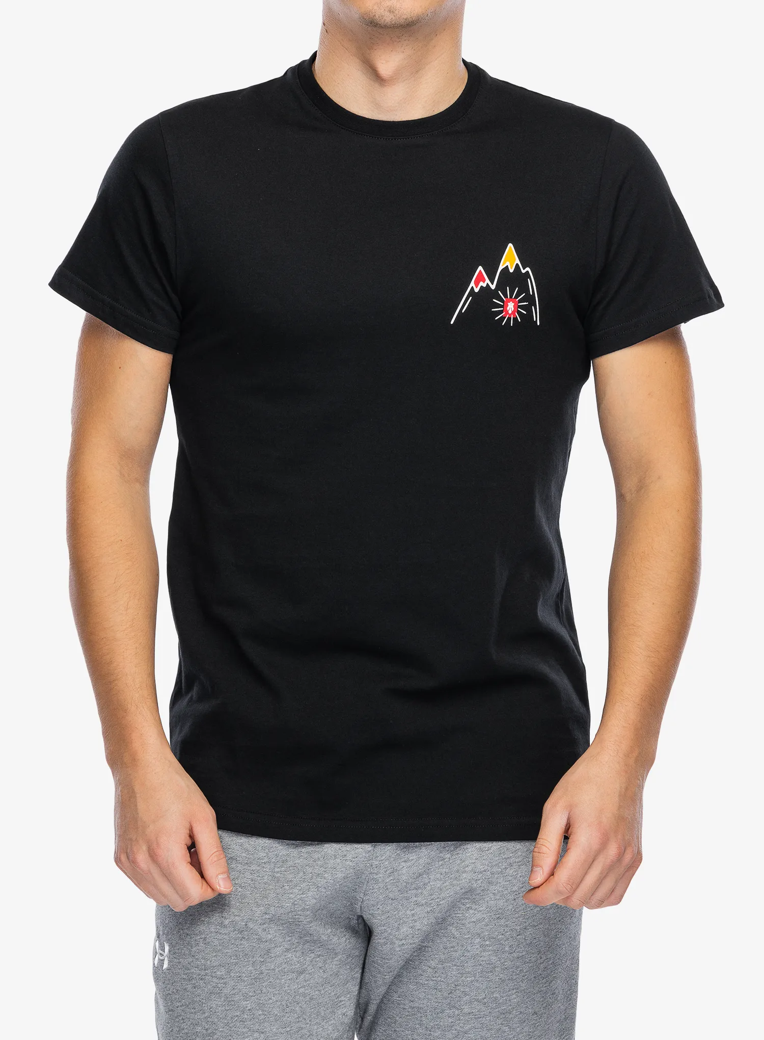 Футболка бавовняна Majesty Mountain T-Shirt - black