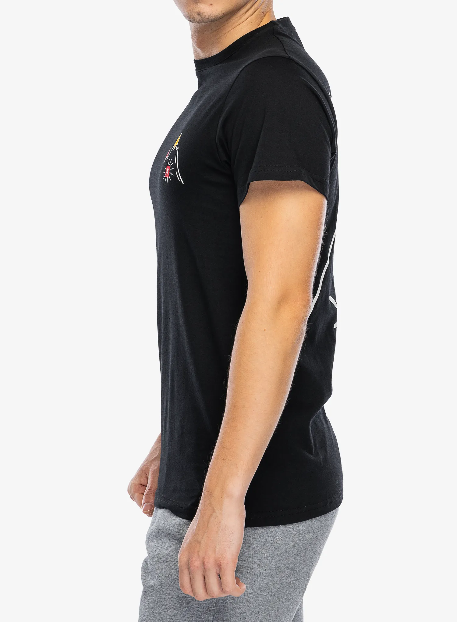 Футболка бавовняна Majesty Mountain T-Shirt - black
