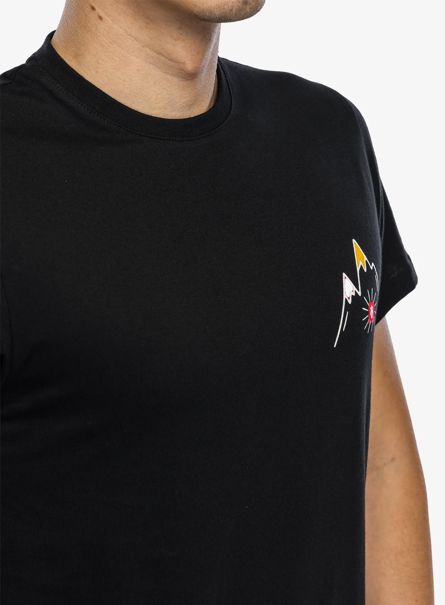 Футболка бавовняна Majesty Mountain T-Shirt - black