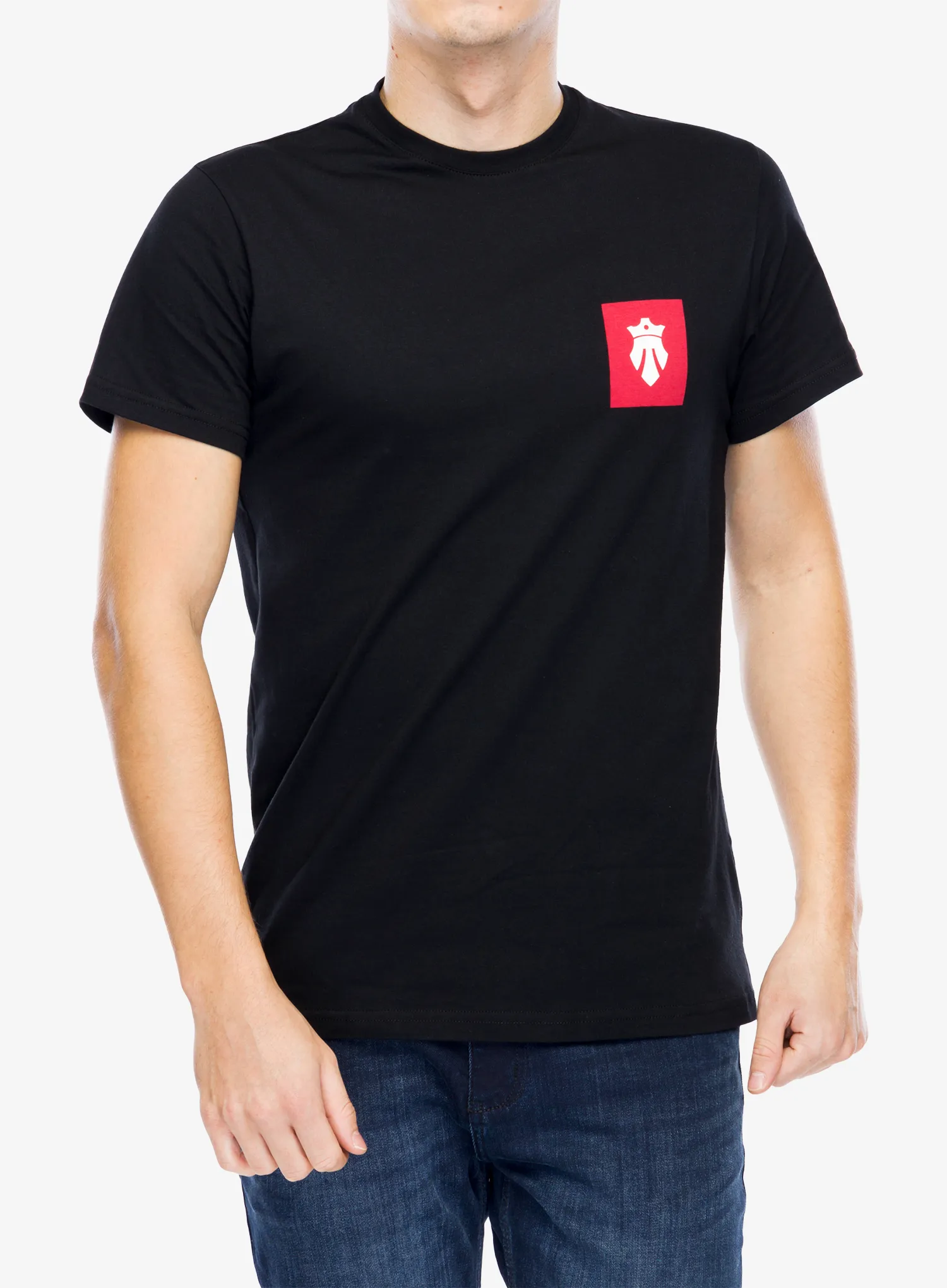 Футболка з принтом Majesty Ski Fast T-Shirt - black