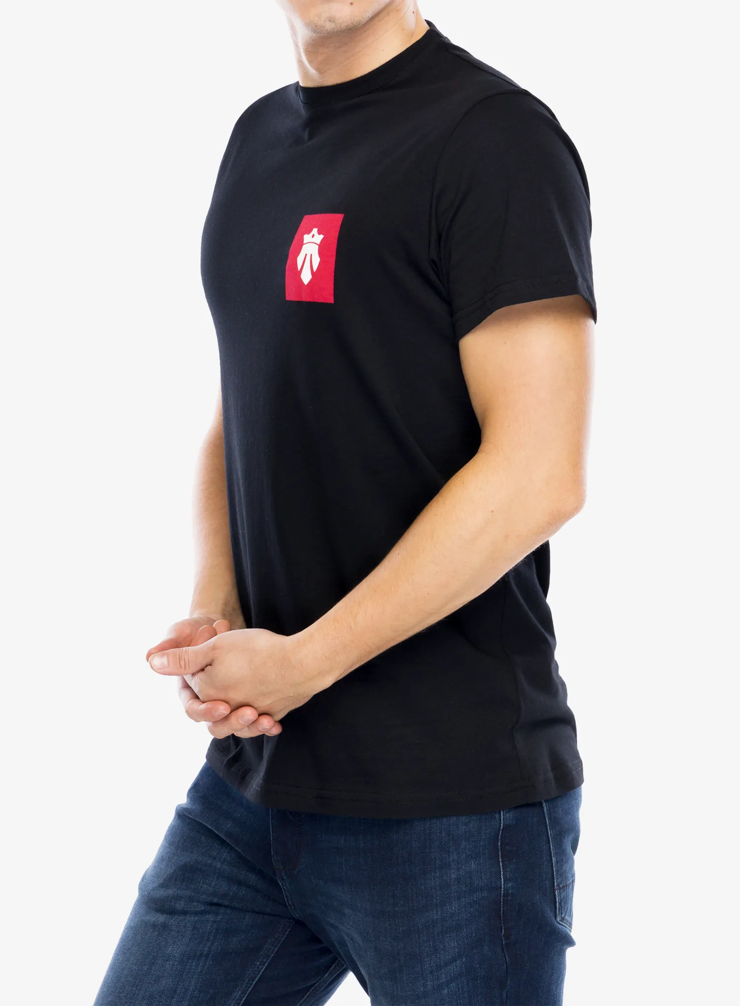Футболка з принтом Majesty Ski Fast T-Shirt - black