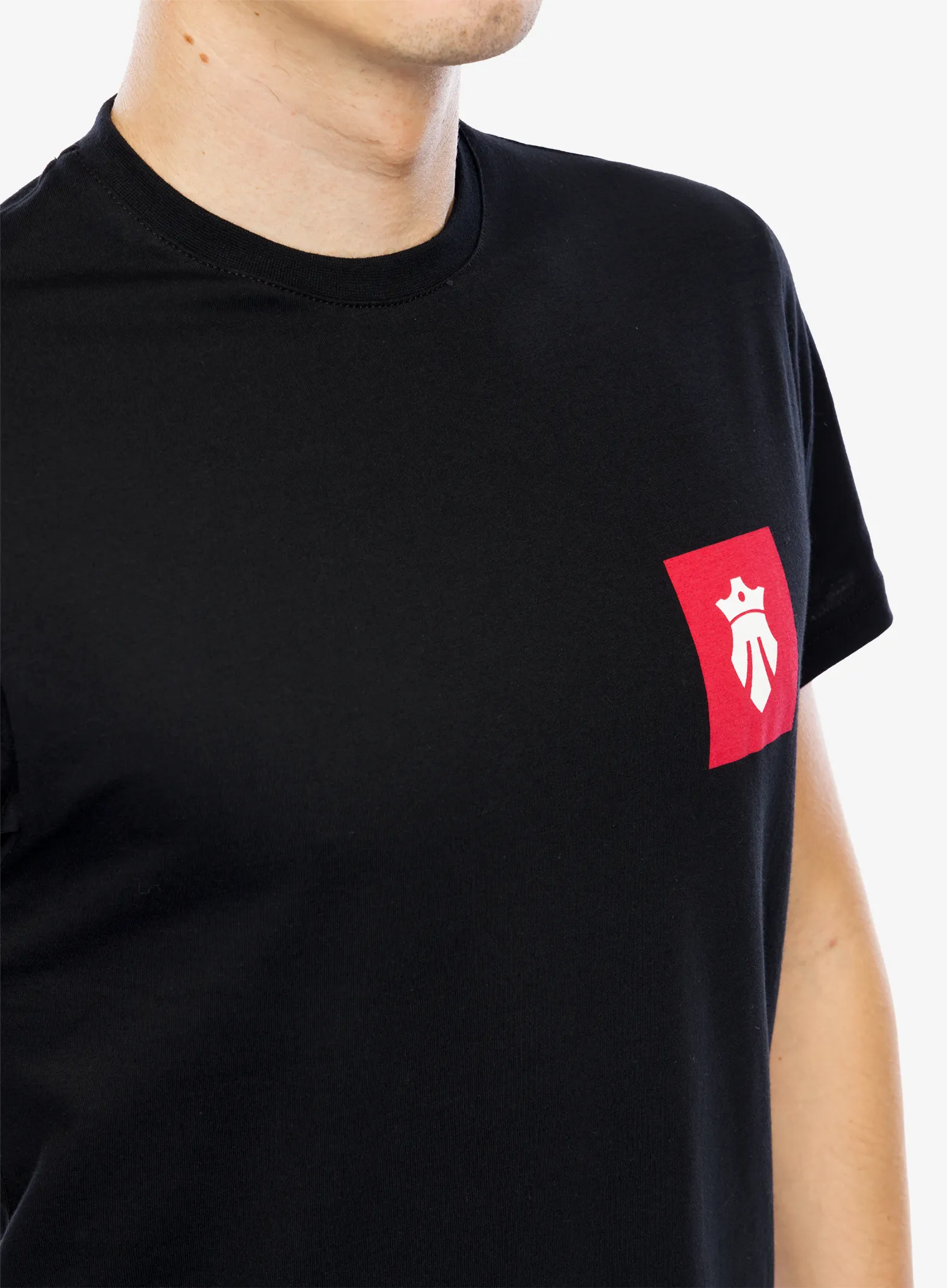 Футболка з принтом Majesty Ski Fast T-Shirt - black