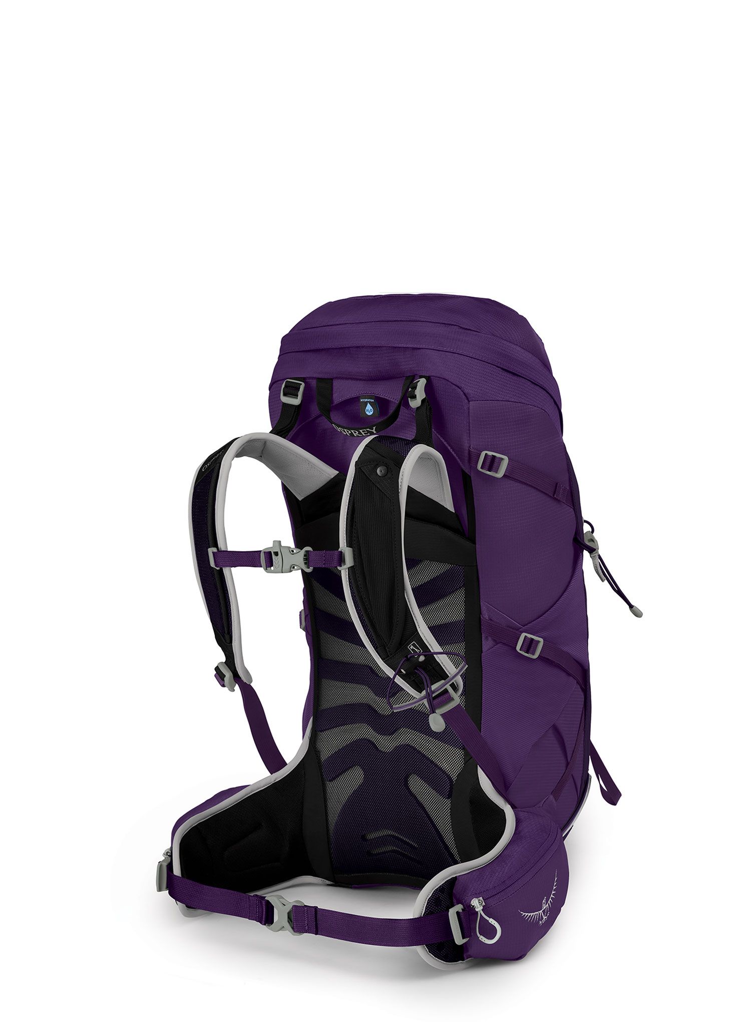 Рюкзак туристичний жіночий Osprey Tempest 34 - violac purple