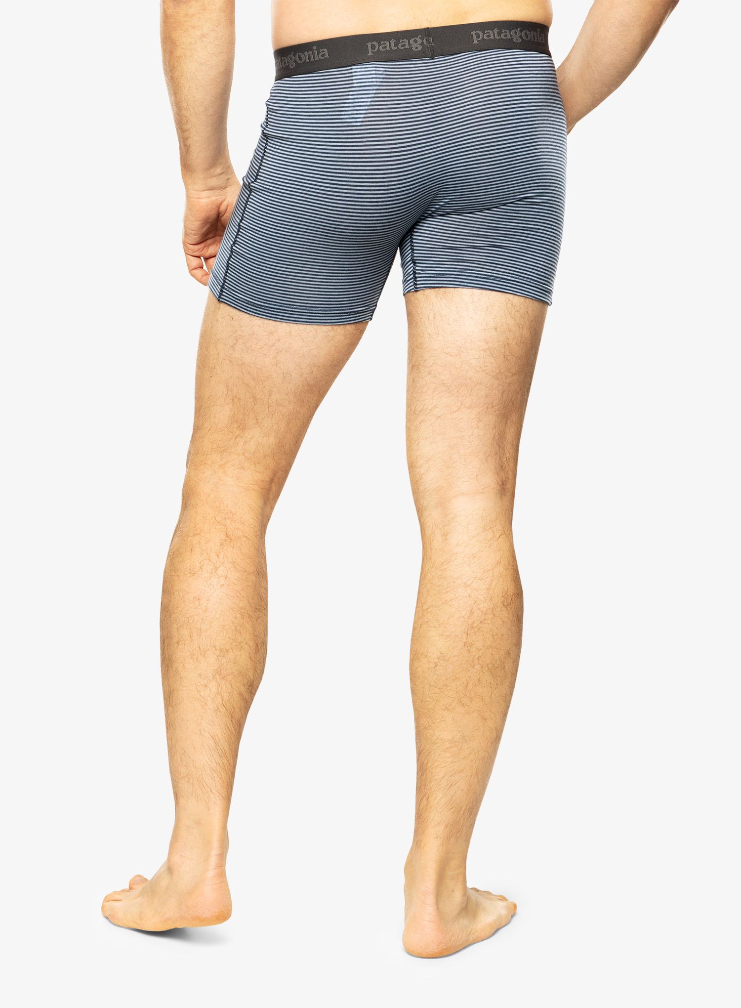 Боксери  Patagonia Essential Boxer Briefs - 3 in - fanthom stripe new navy