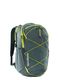 Рюкзак міський Patagonia Refugio Day Pack 30L - nouveau green