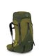 Рюкзак туристичний Osprey Atmos AG LT 50 - scenic valley/green peppercorn