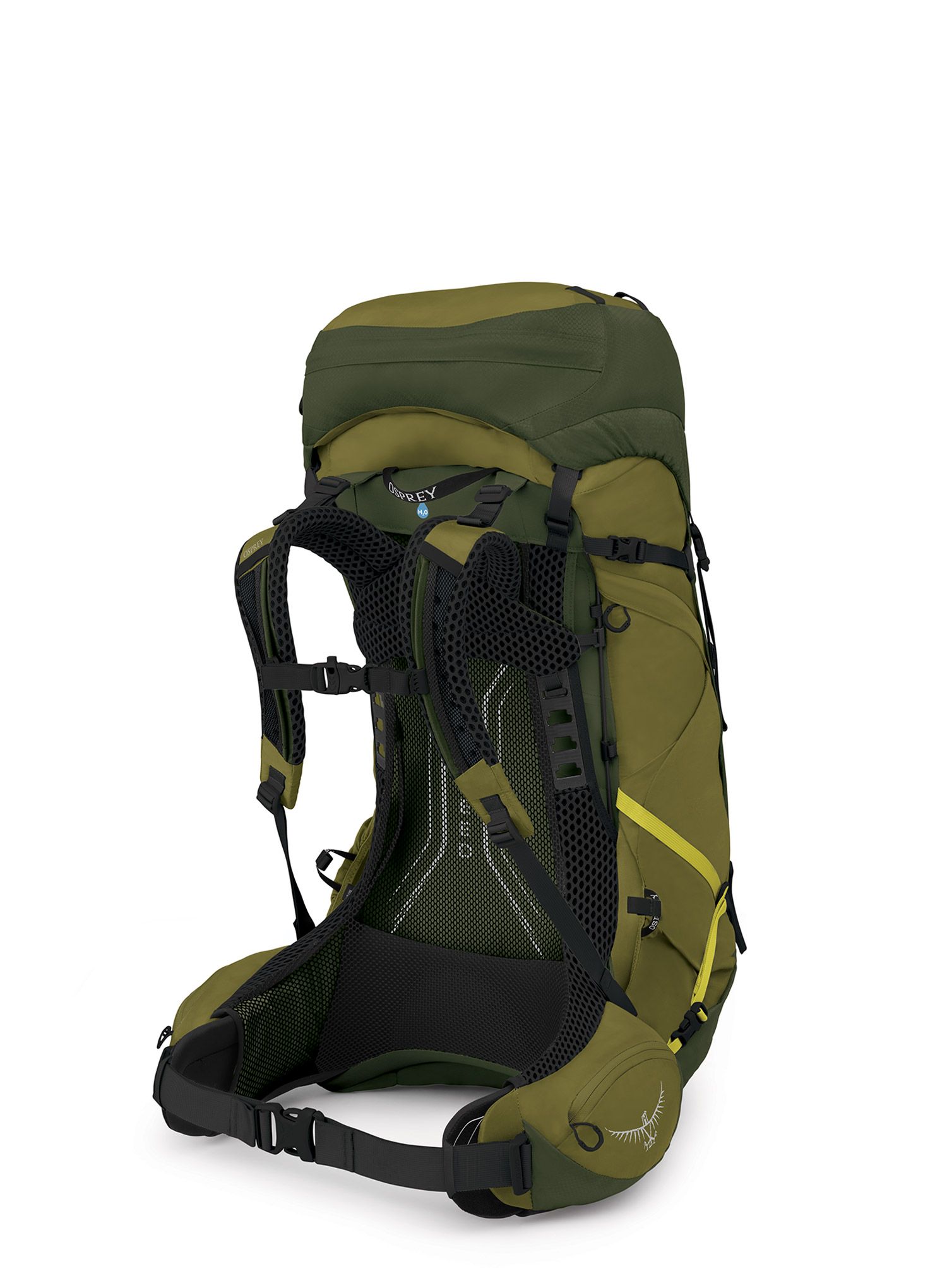 Рюкзак туристичний Osprey Atmos AG LT 50 - scenic valley/green peppercorn
