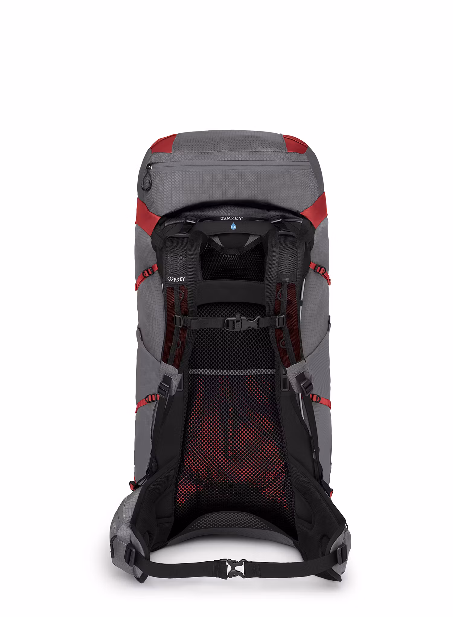 Рюкзак туристичний жіночий Osprey Eja Pro 55 - dale grey/poinsettia red