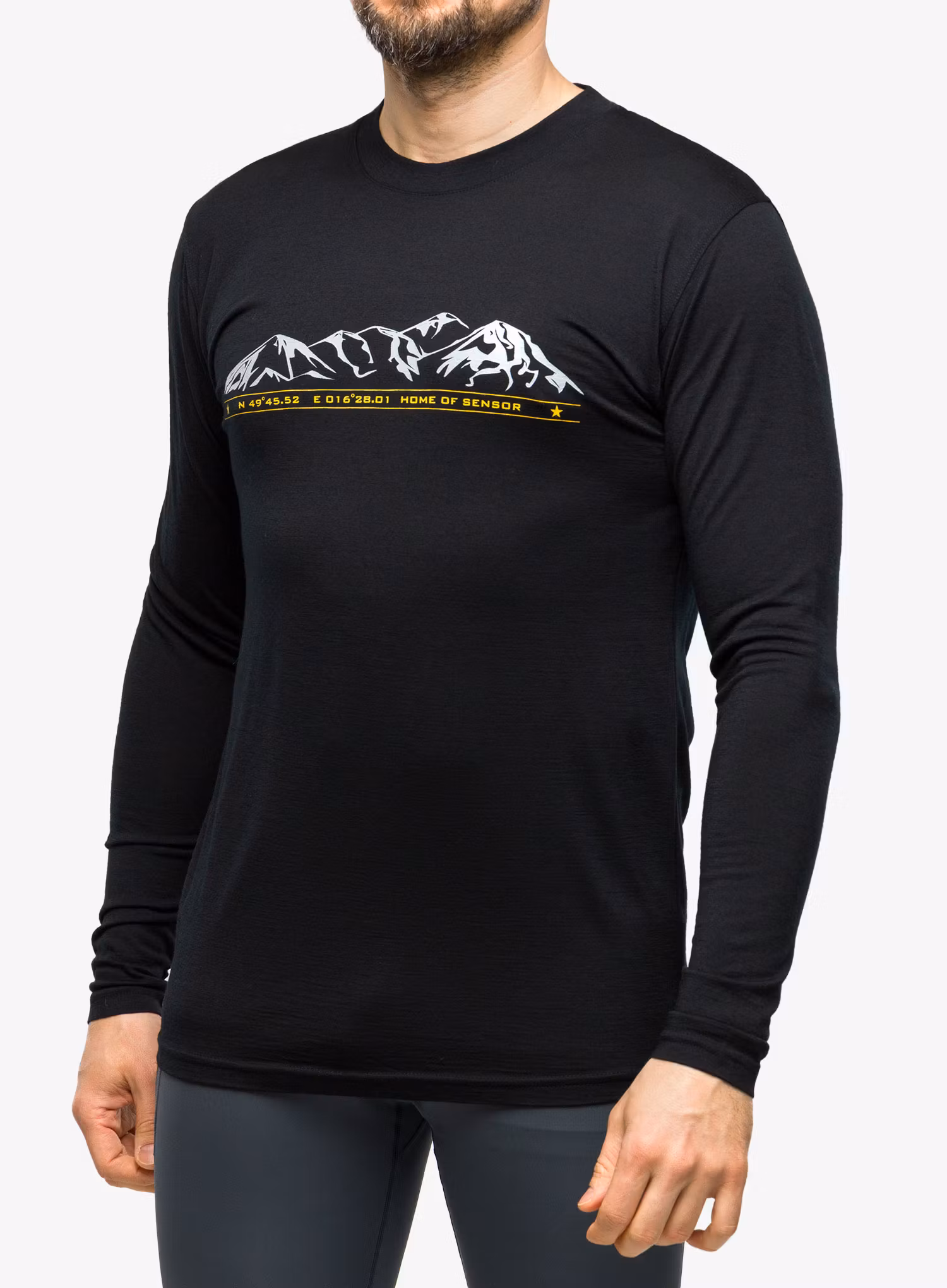 Кофта Sensor Merino Active PT Tee L/S - black mountains