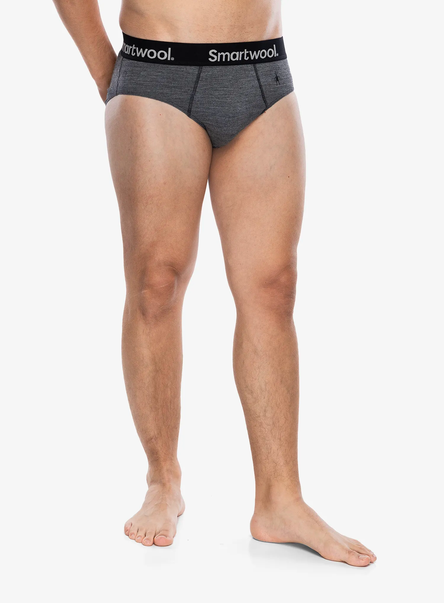 Сліпи Smartwool Active Brief Boxed - medium gray heather