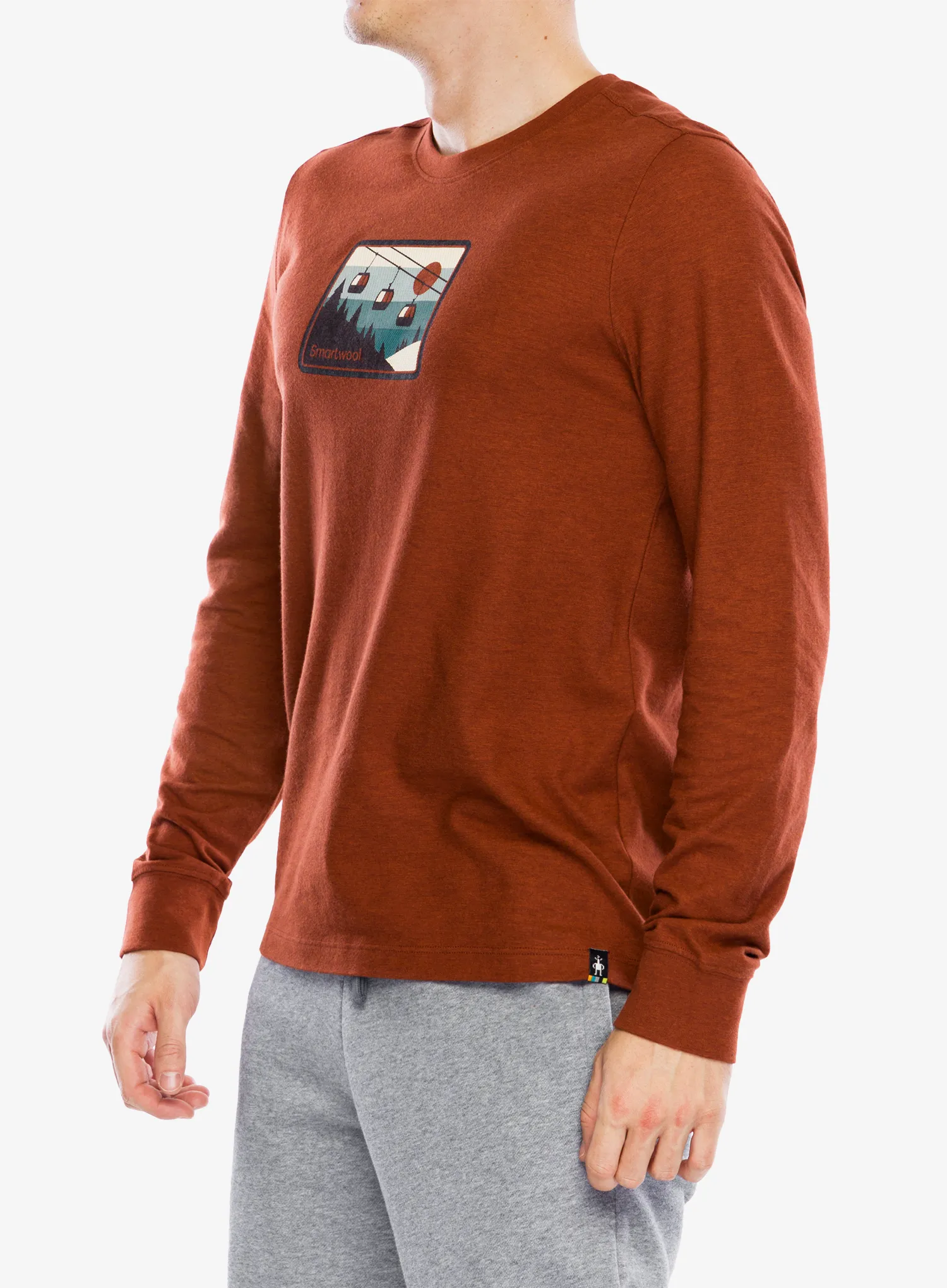 Кофта без каптура Smartwool Gondola Ride Graphic Long Sleeve Tee - pecan brown